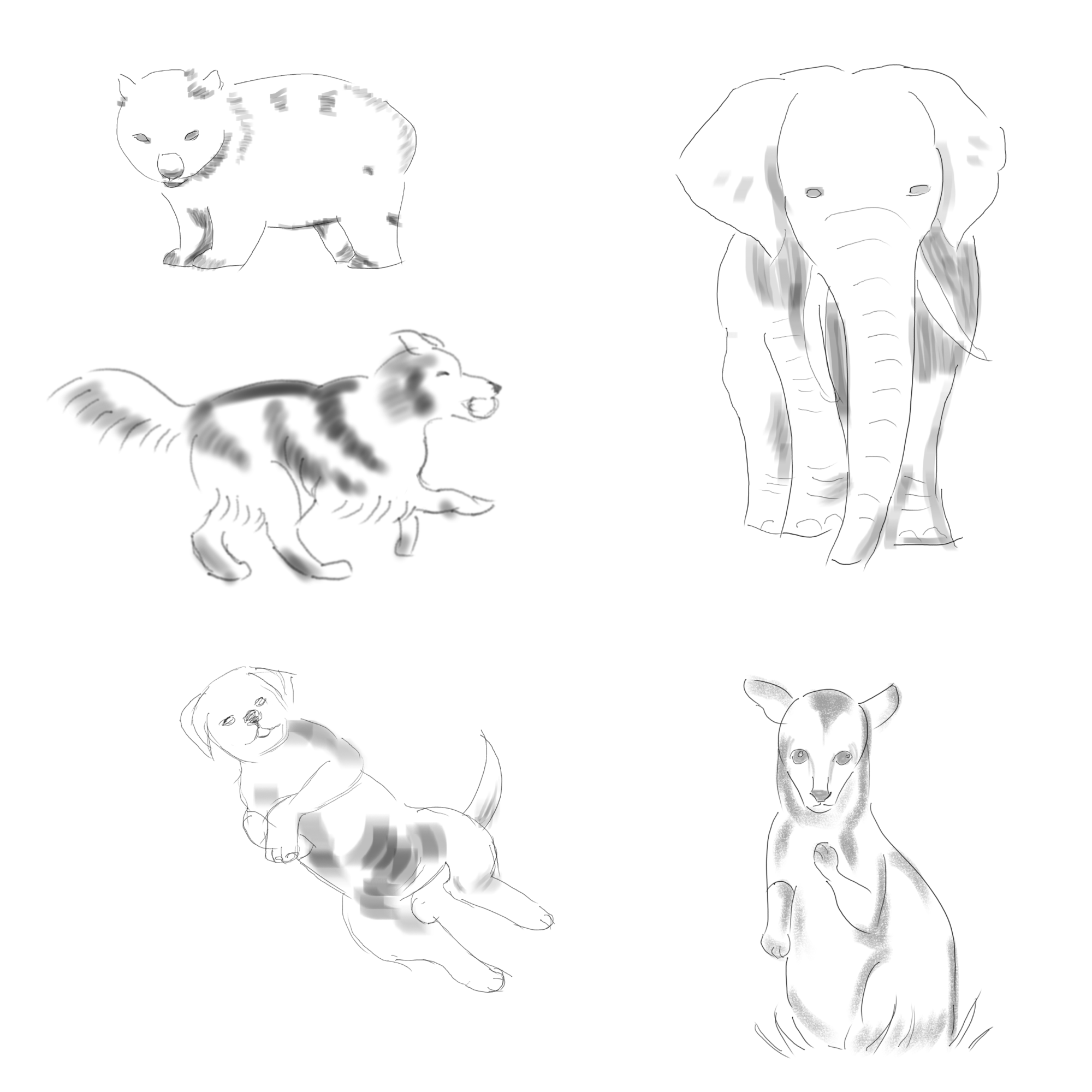 croquis_animaux04.png
