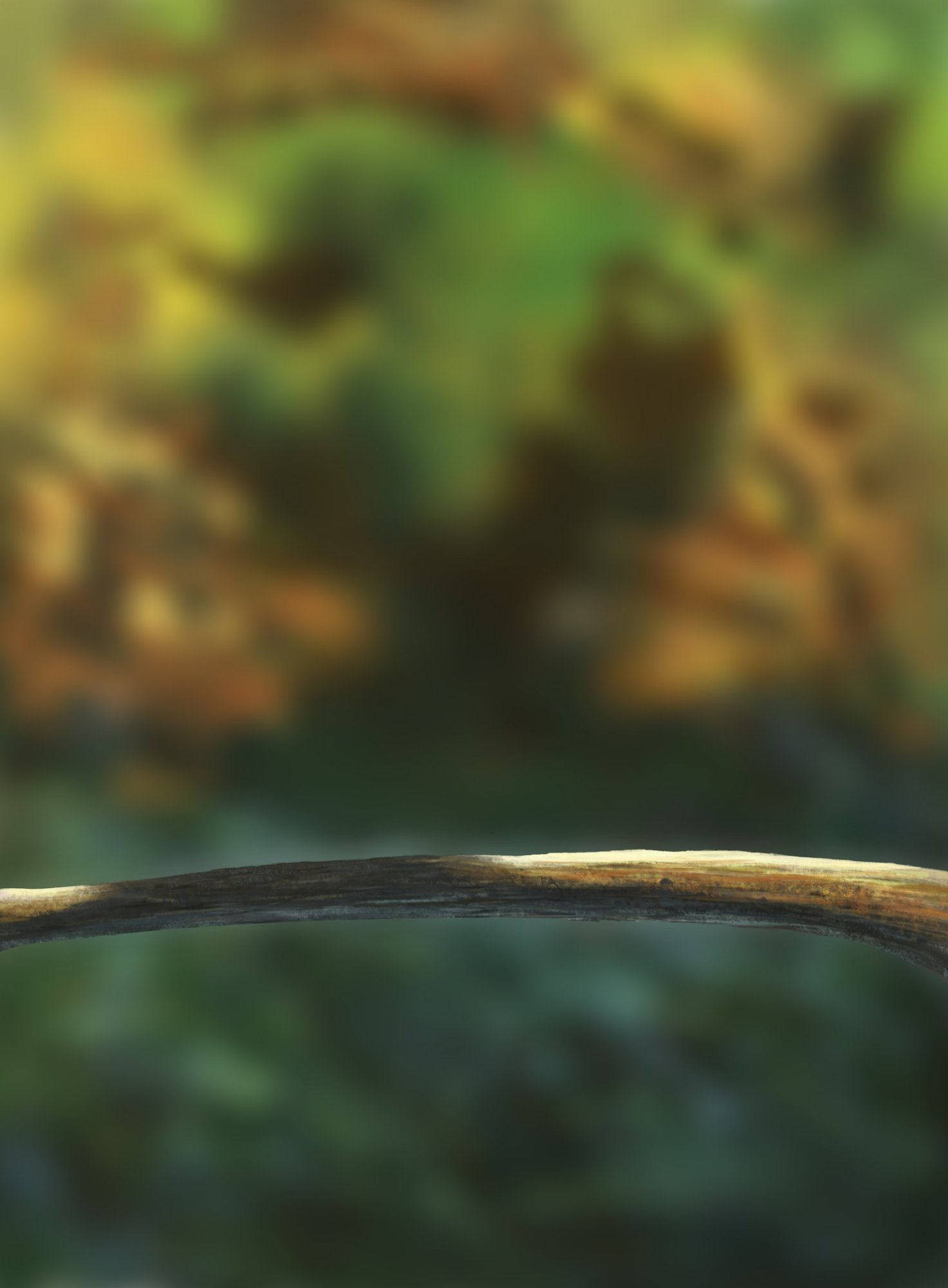 DPS Prog-1-1-Exercice5-Oiseau-Commencement.jpg