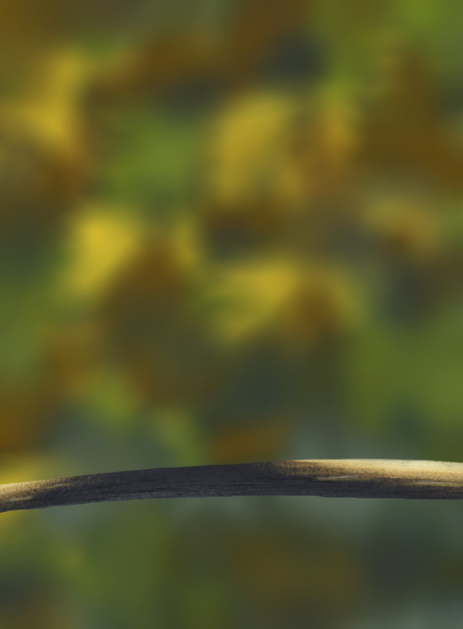 DPS Prog-1-1-Exercice5-Oiseau-Fond.jpg