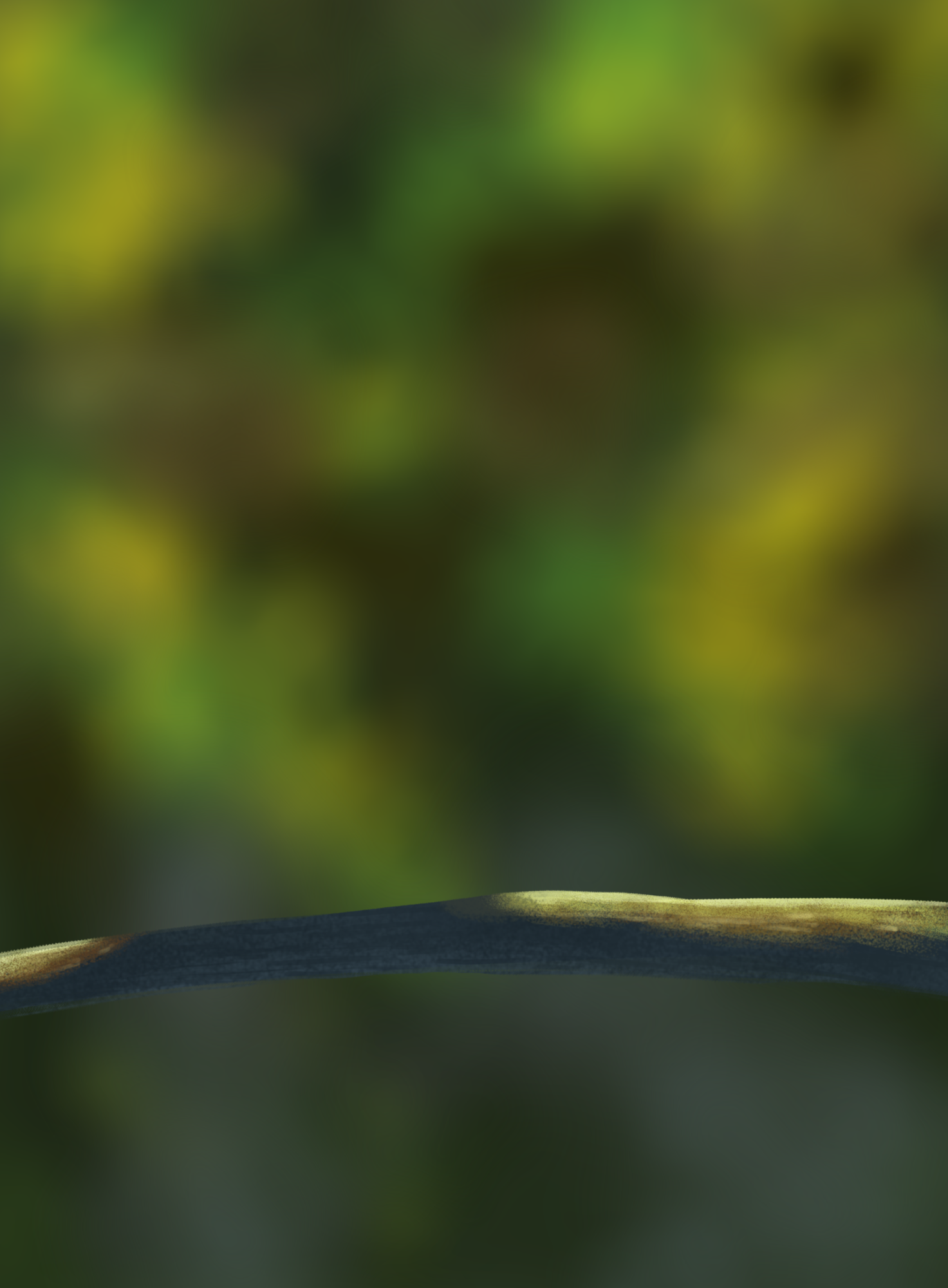 DPS Prog-1-1-Exercice5-Oiseau-Commencement.png