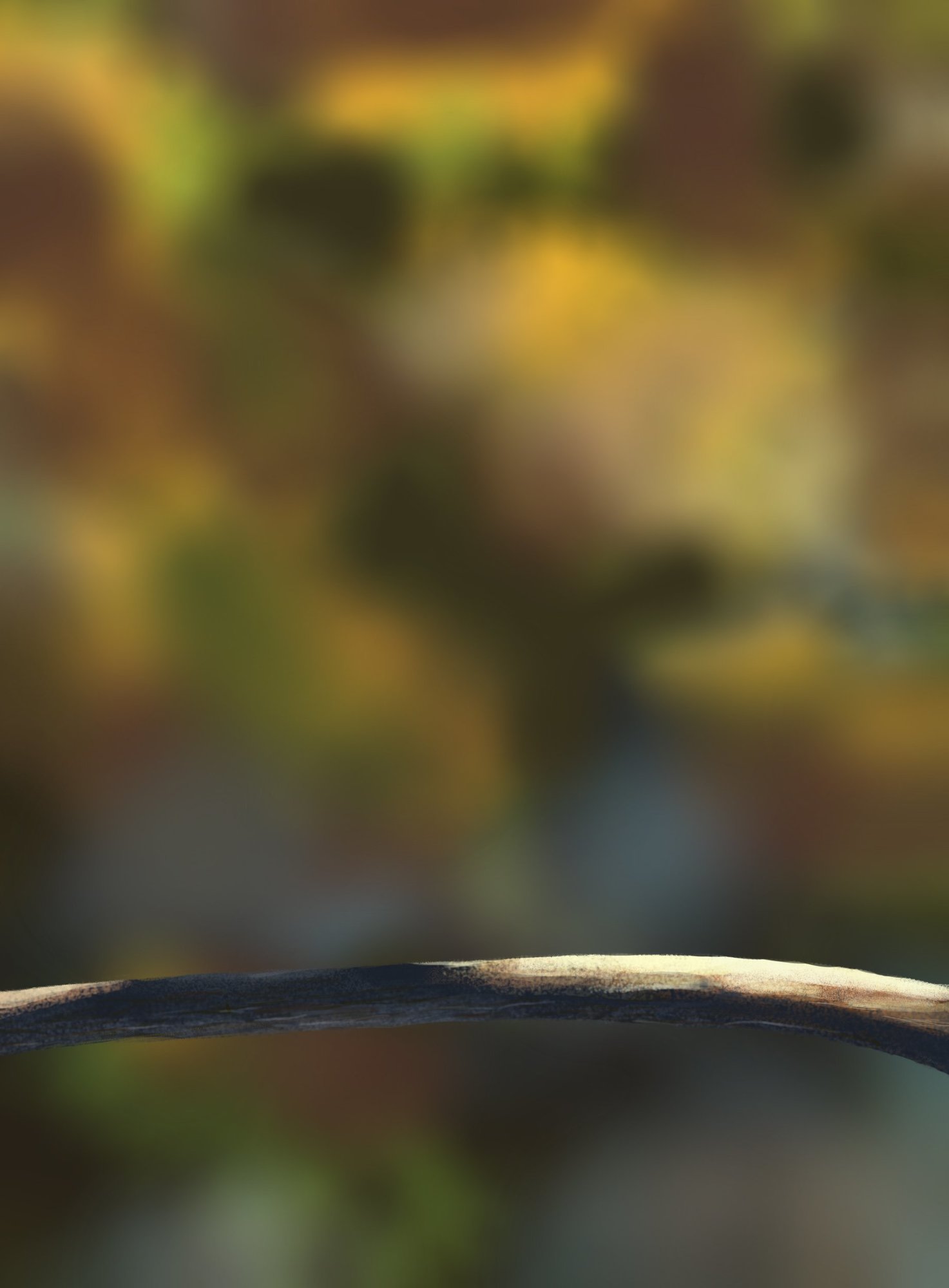 DPS Prog-1-1-Exercice5-Oiseau-Commencement.jpg