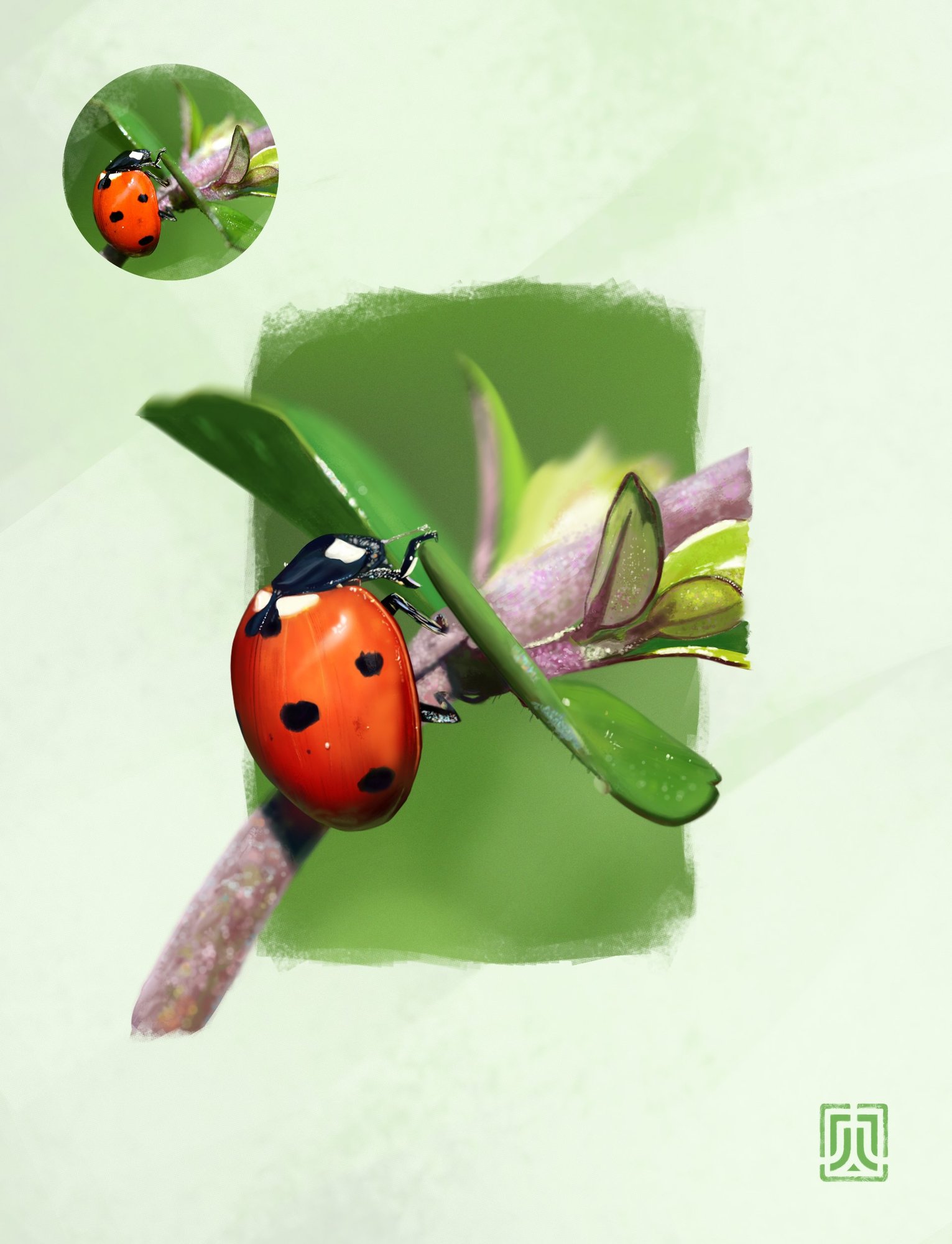 Coccinelle.jpg