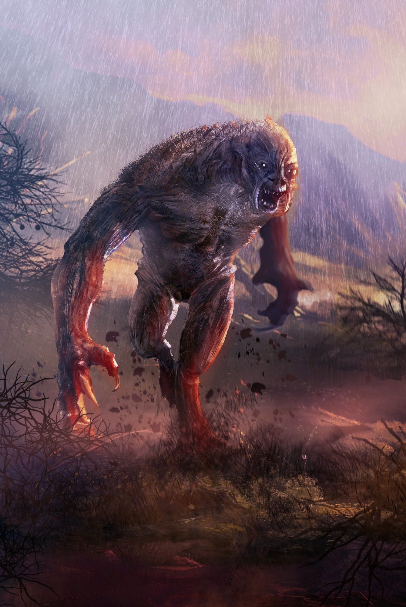 vagabond des landes-illustration.jpg