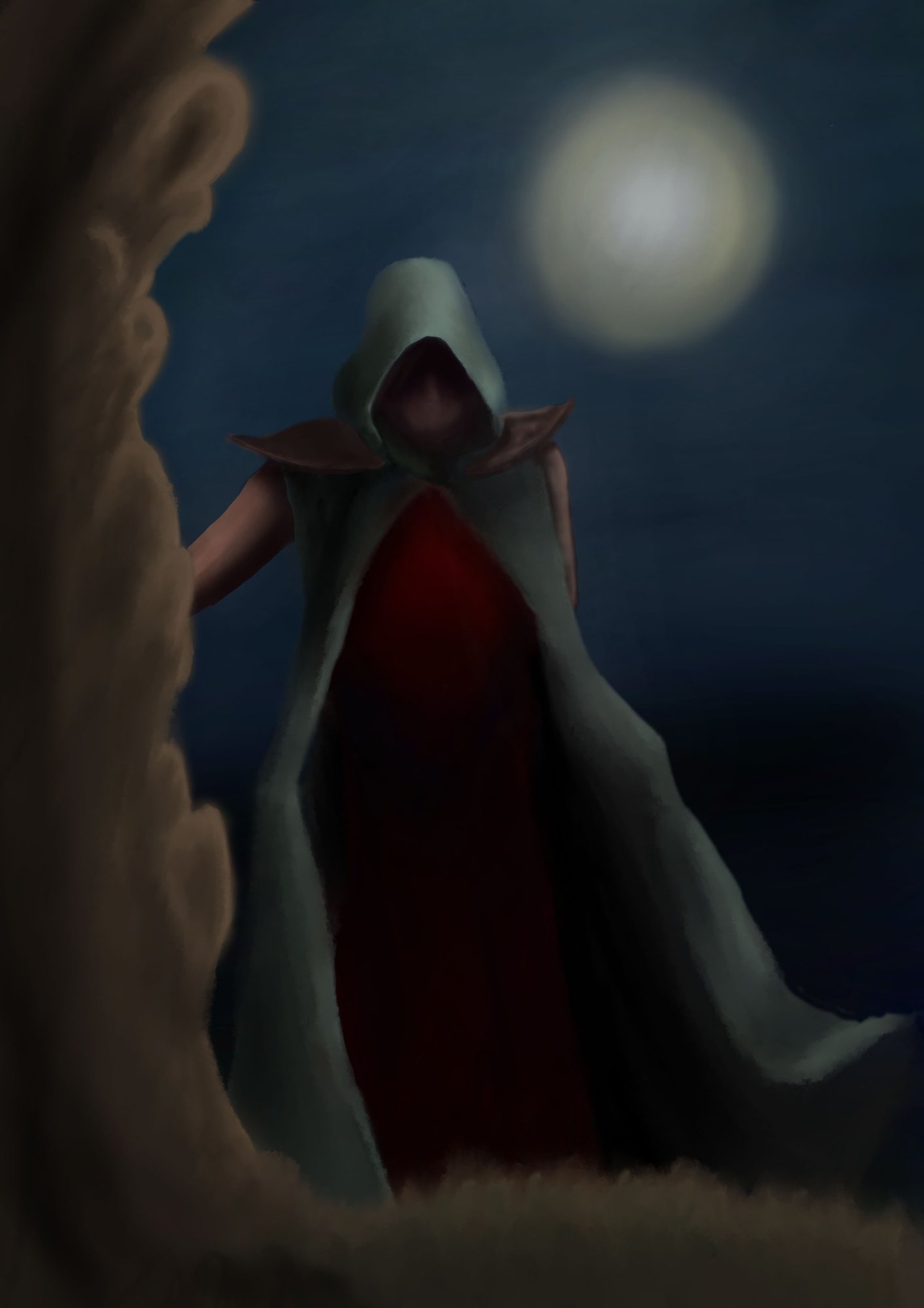 Chapitre 0 copie.jpg