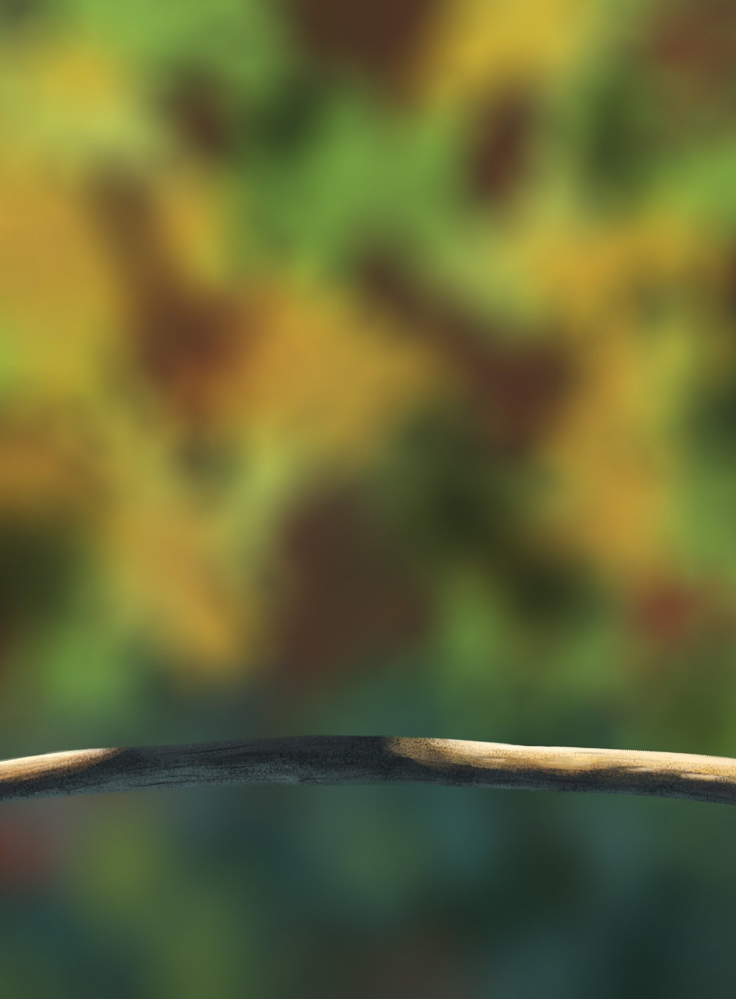 Ex 5 (oisillons pt.1).jpg