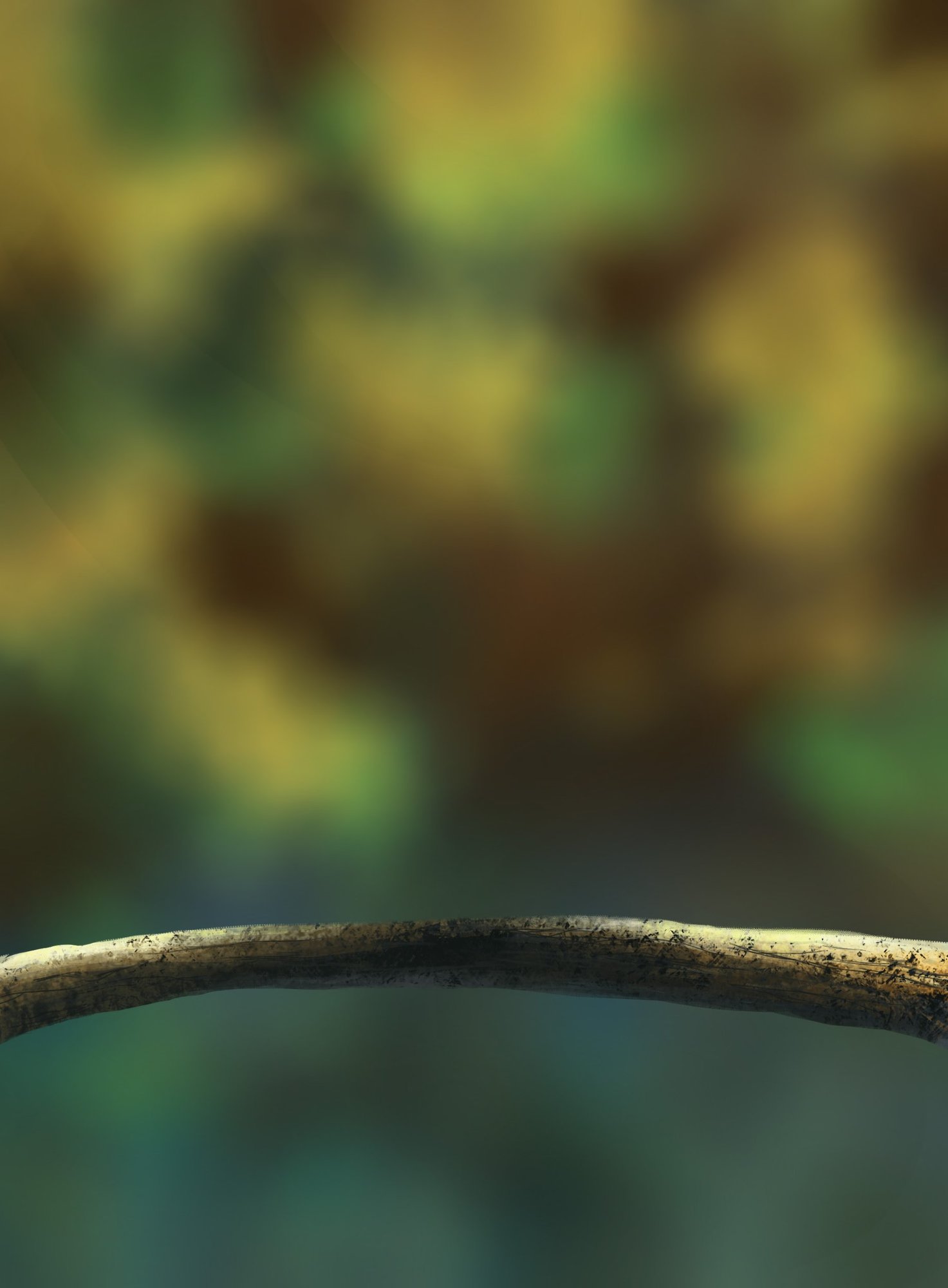 oiseaux correction.jpg