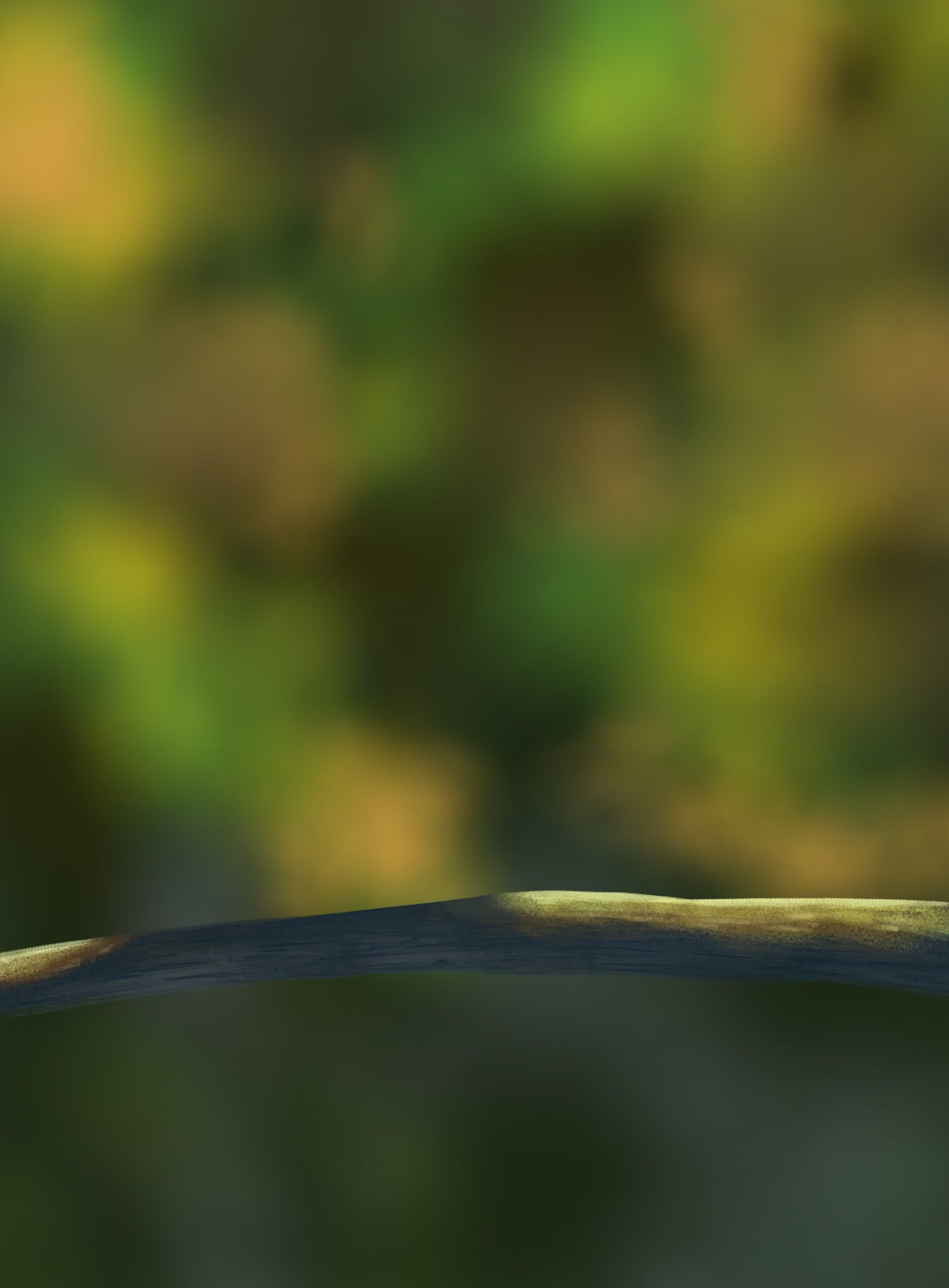 DPS Prog-1-1-Exercice5-Oiseau-Commencement-3.jpg