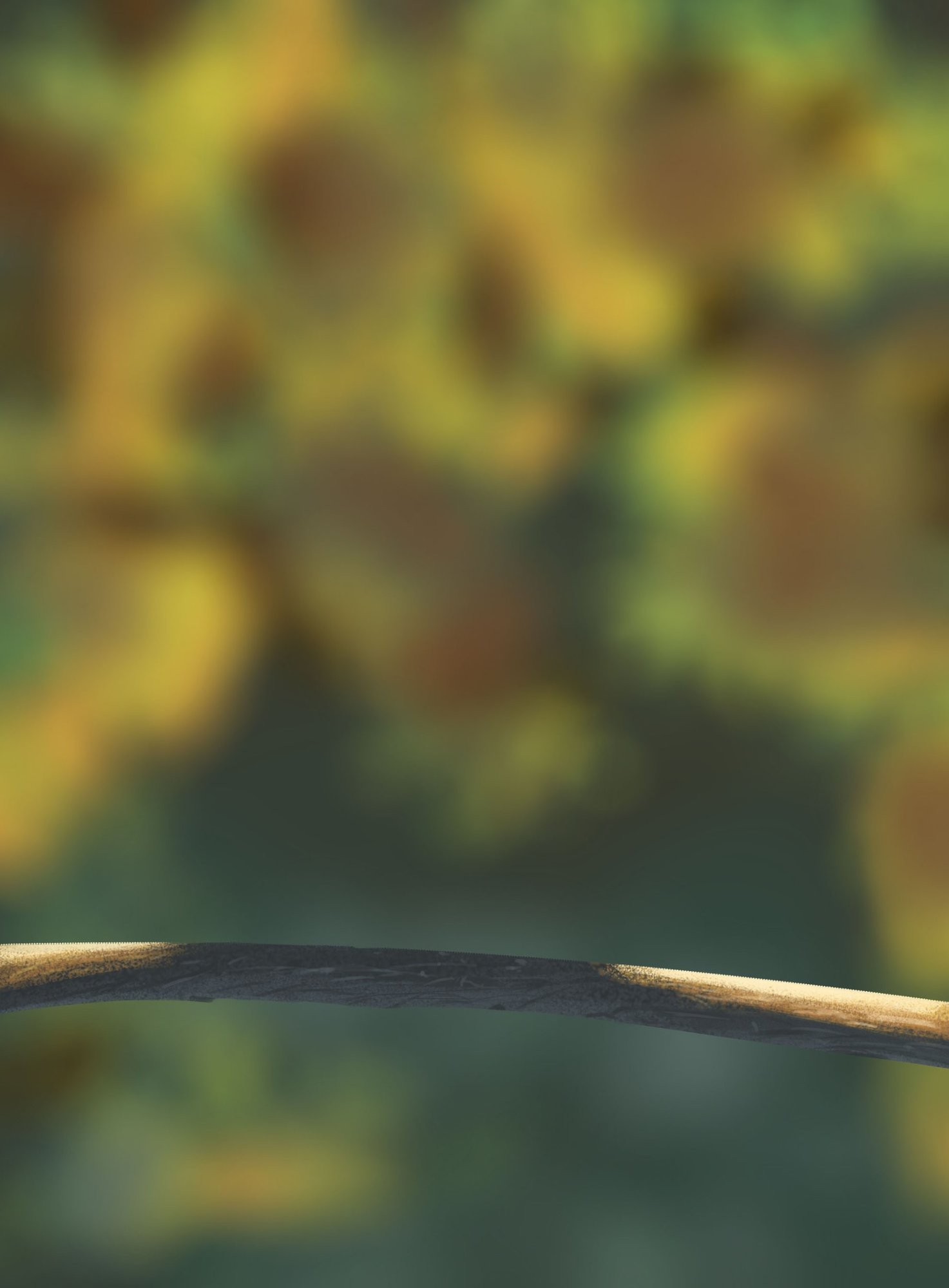 exercice 5 oisillions.jpg