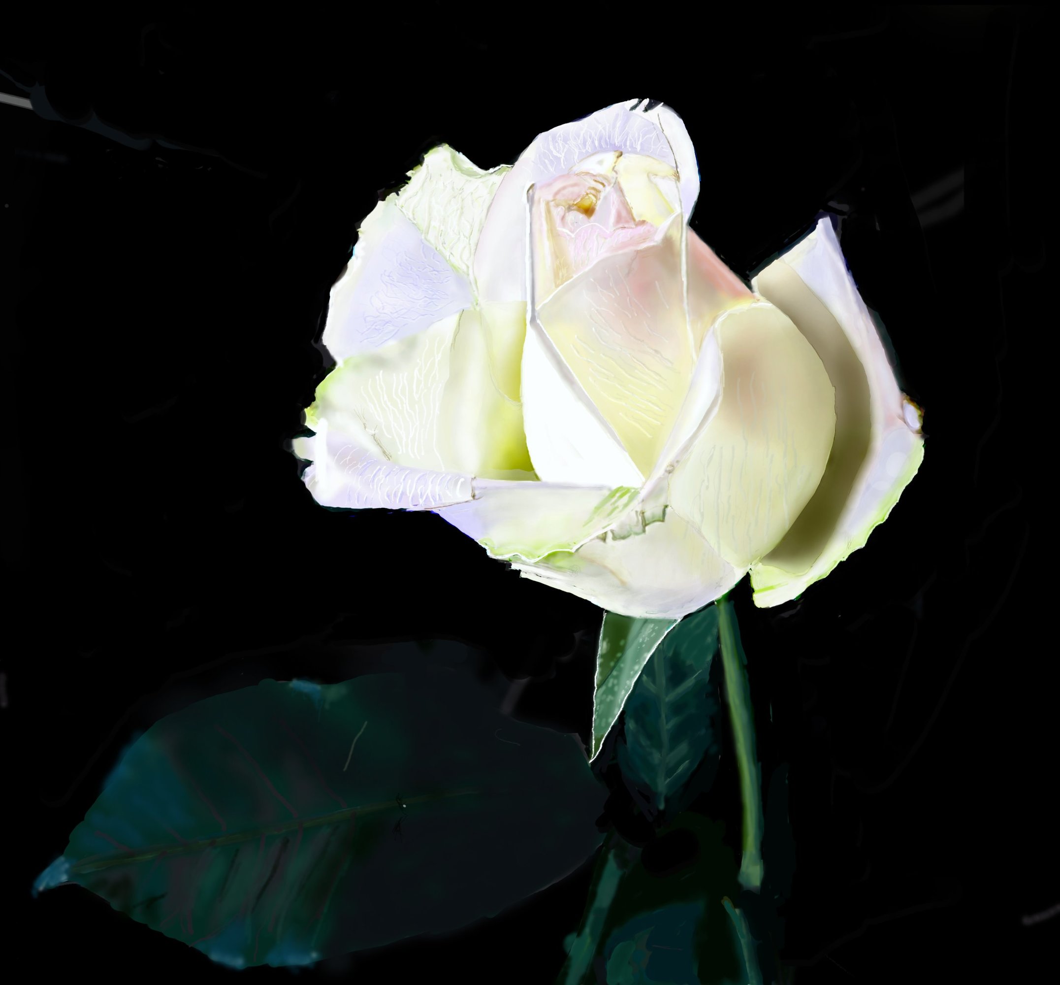 roserevvue3-5 copie.jpg