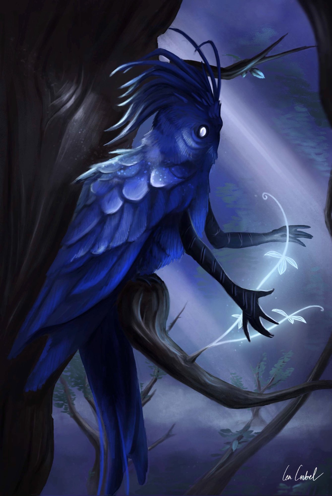 Image 16-05-2021 à 16.22.JPG