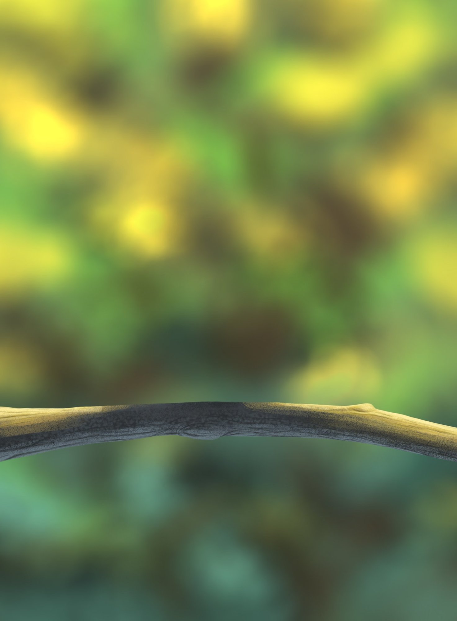 DPS Prog-1-1-Exercice5-Oiseau-Commencement_01.jpg