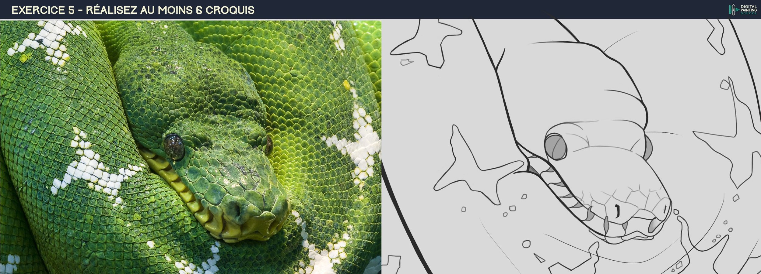 DPS-Prog-1-2- SERPENT.jpg