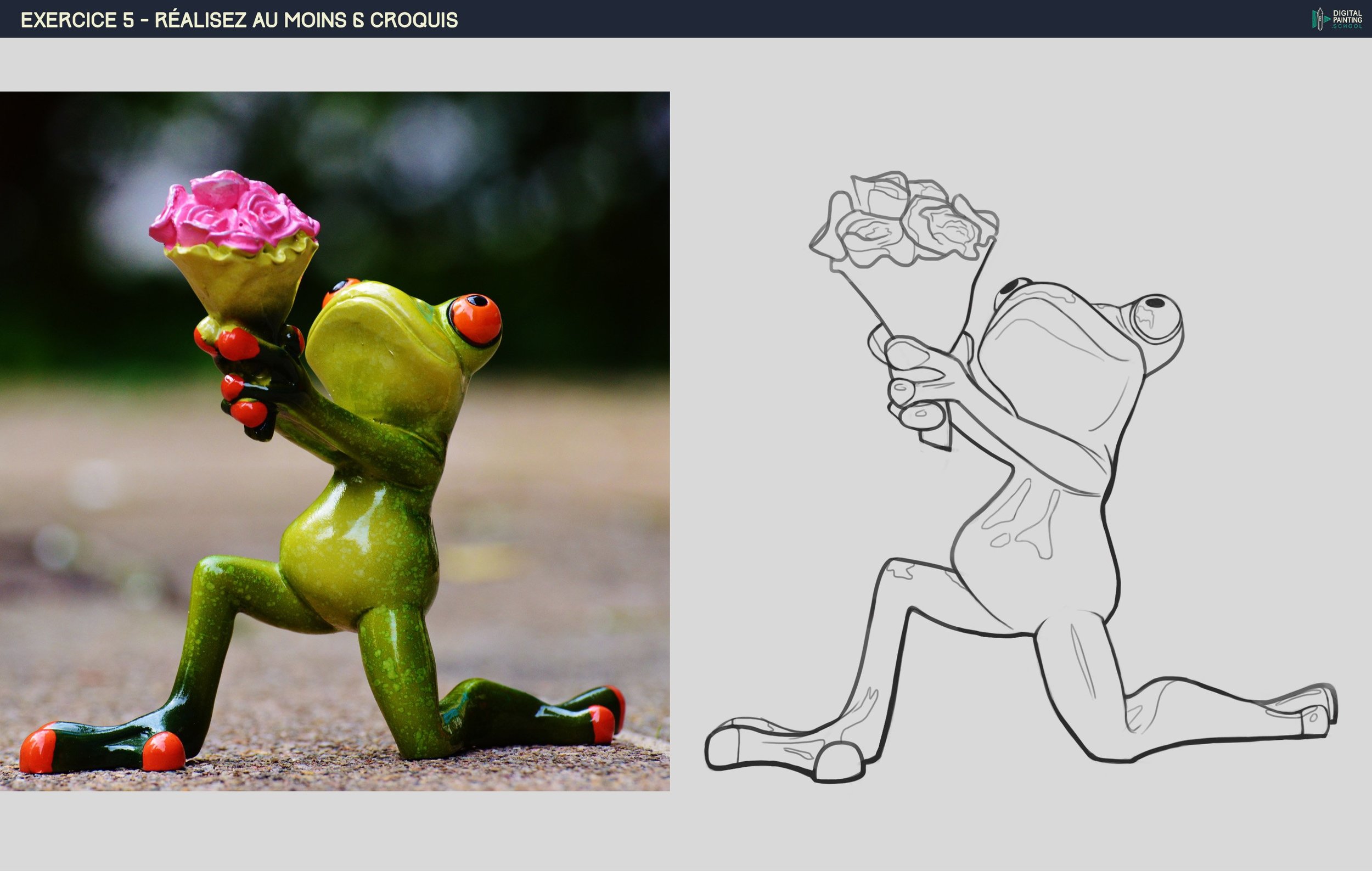 DPS-Prog-1-2 grenouille.jpg