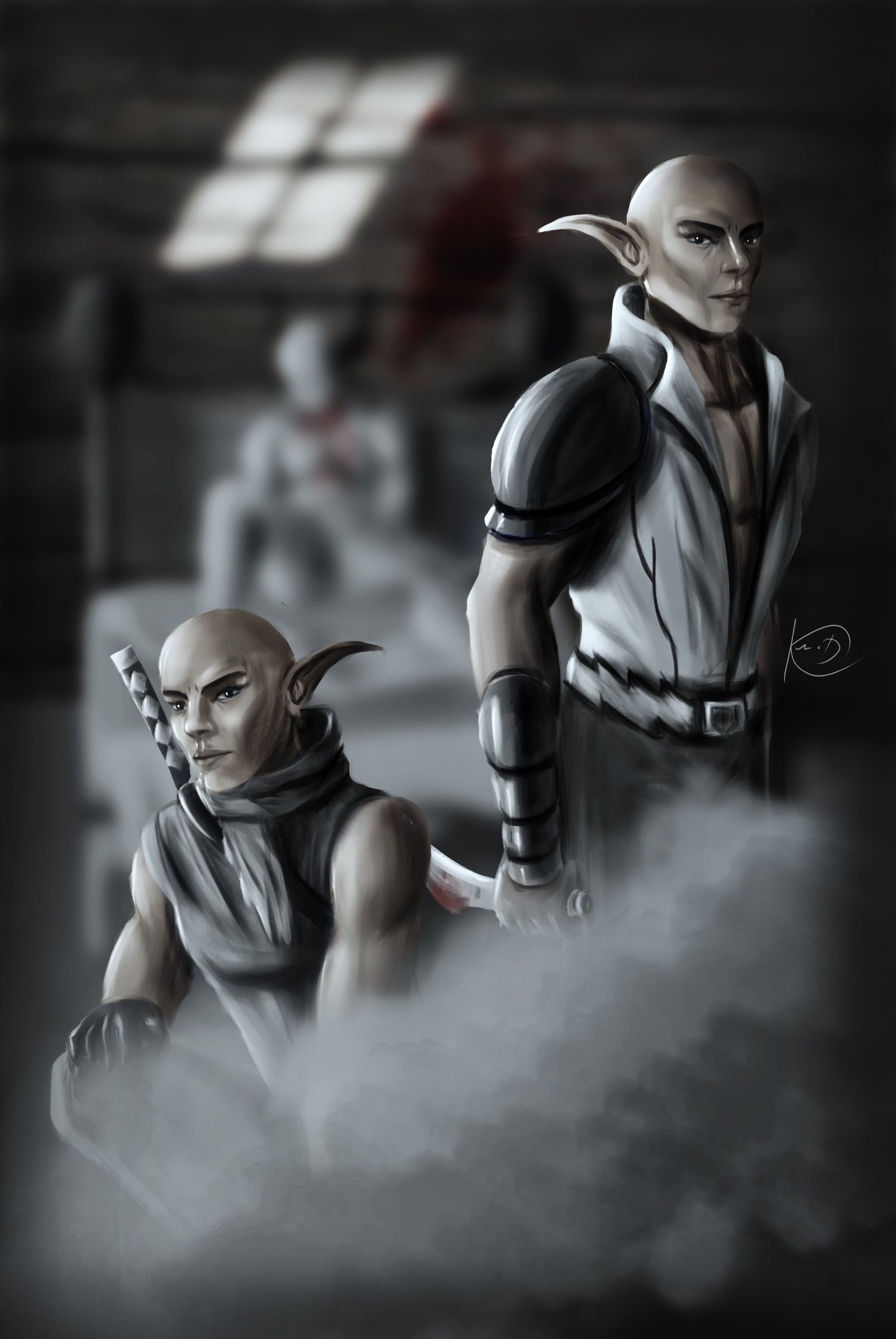 Elfe Noir Assassin.jpg