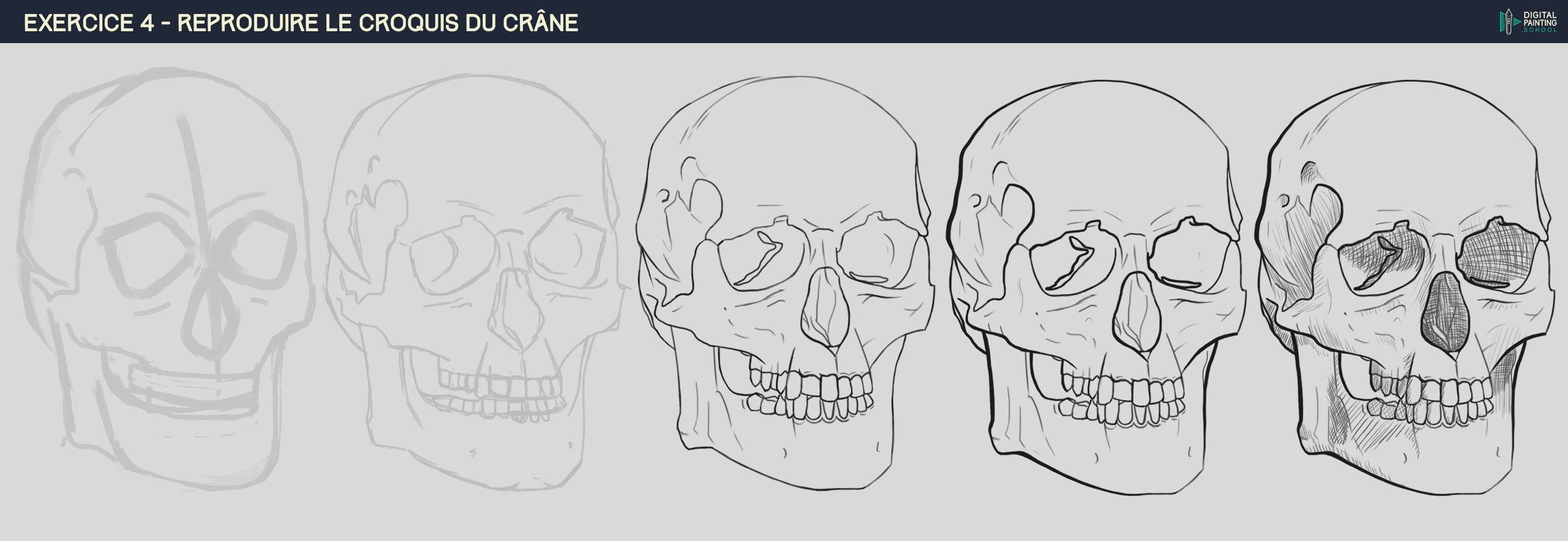 DPS-Prog-1-2-2-démo-crane-croquisétape agathe.jpg
