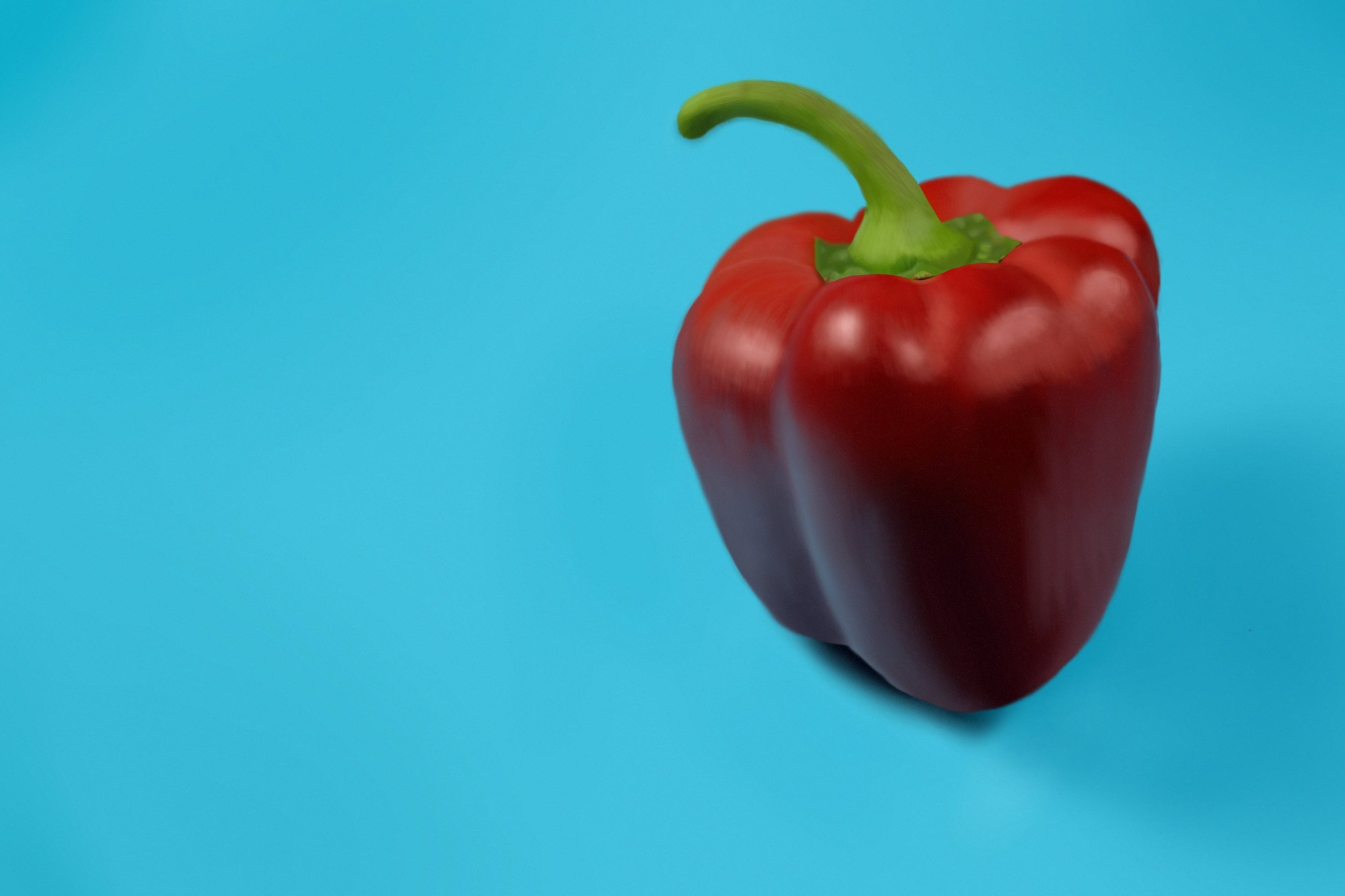 poivron shax 1.4.jpg