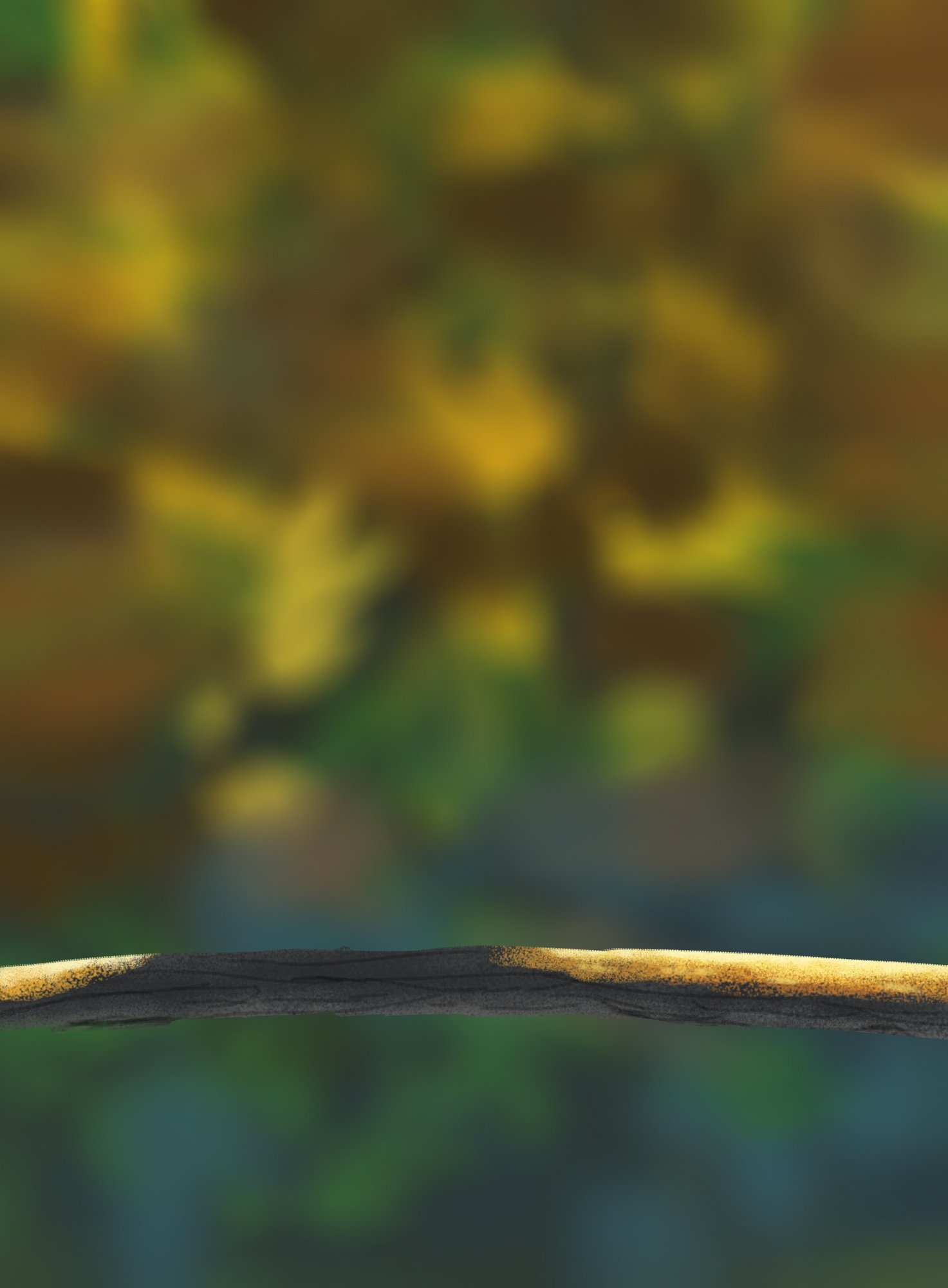 DPS Prog-1-1-Exercice5-Oiseau-Commencement.jpg