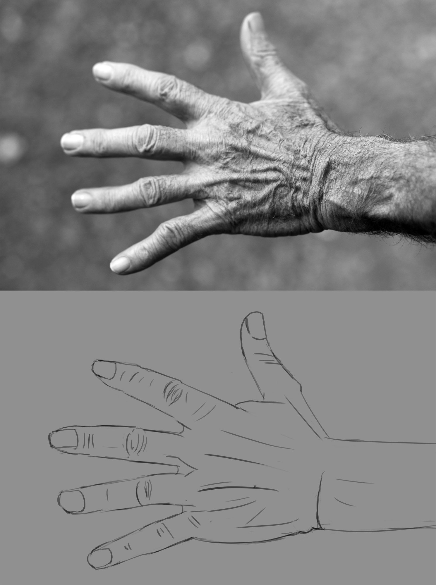 MY_hand-elderly-woman-wrinkles-black-and-white-54321.thumb.jpg.b1442e2e0557af2975a26251164d7653.jpg