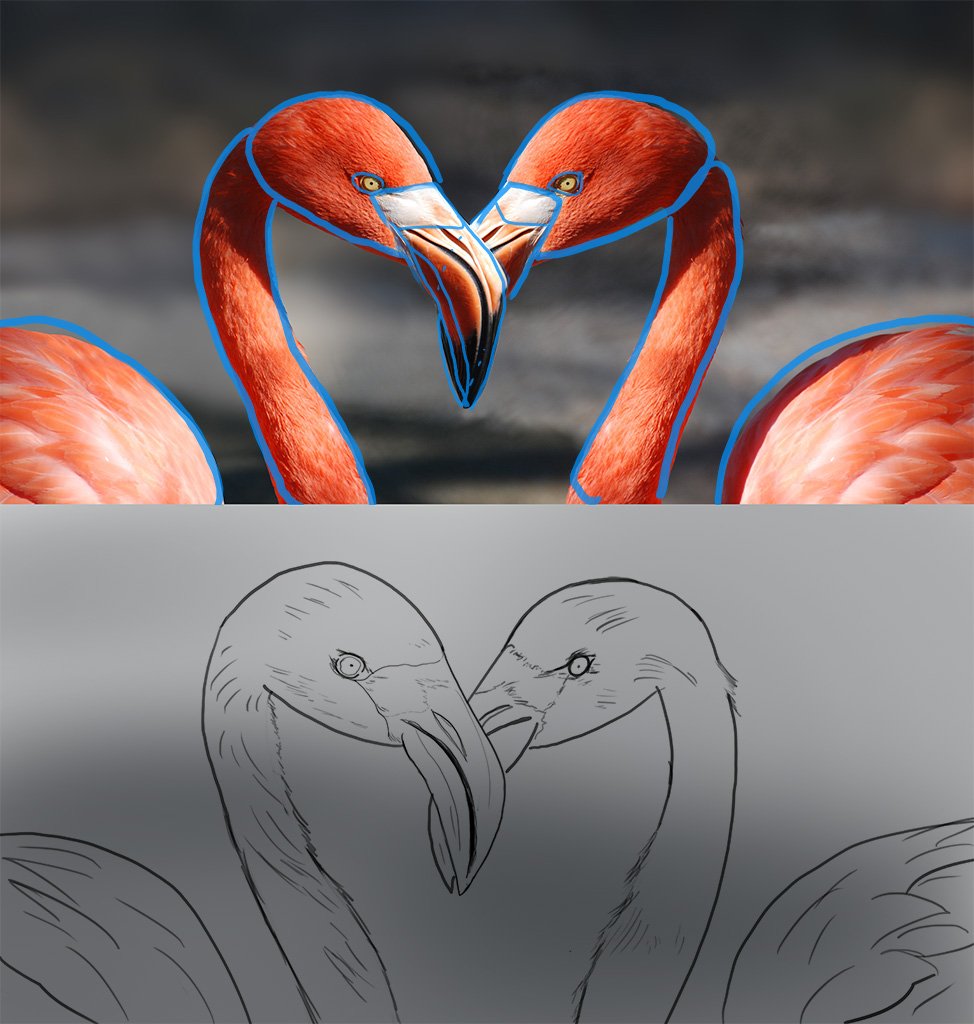 My_flamingo-valentine-heart-valentine-s-day-39627.jpg.e8c6ba50ba07d23a3f8a0754d81fb6ec.jpg