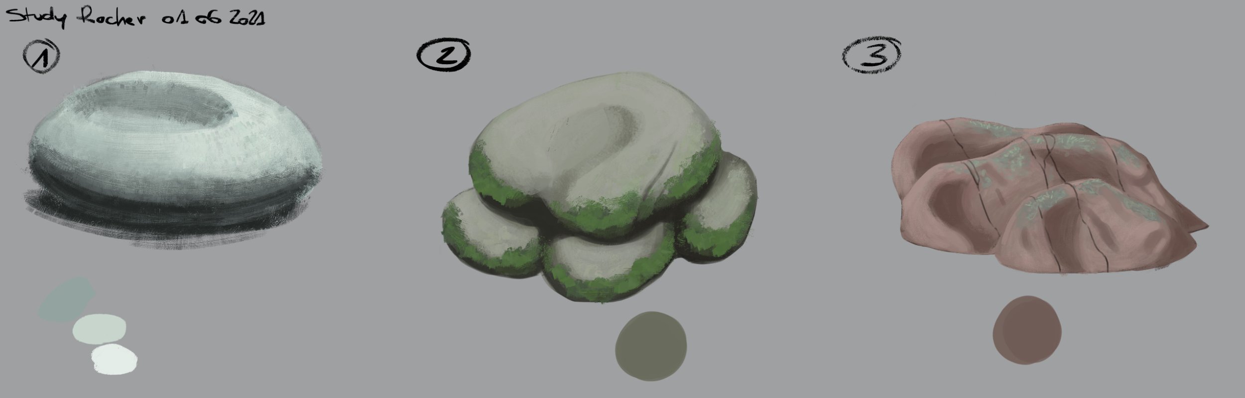 Study_Rocher_01_06_2021.jpg.2b8db7bda9ee522a5bc5da1fd20d140f.jpg