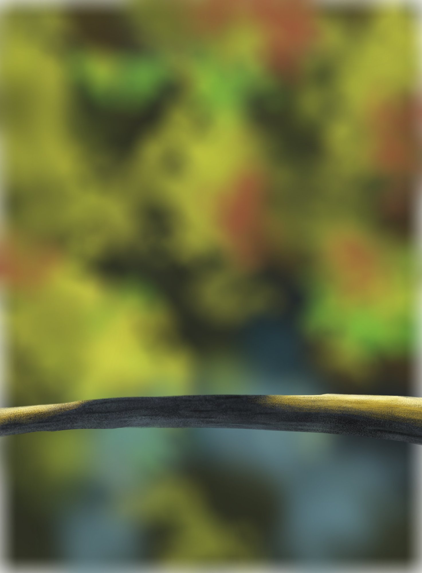 DPS Prog-1-1-Exercice5-Oiseau-Commencement.jpg