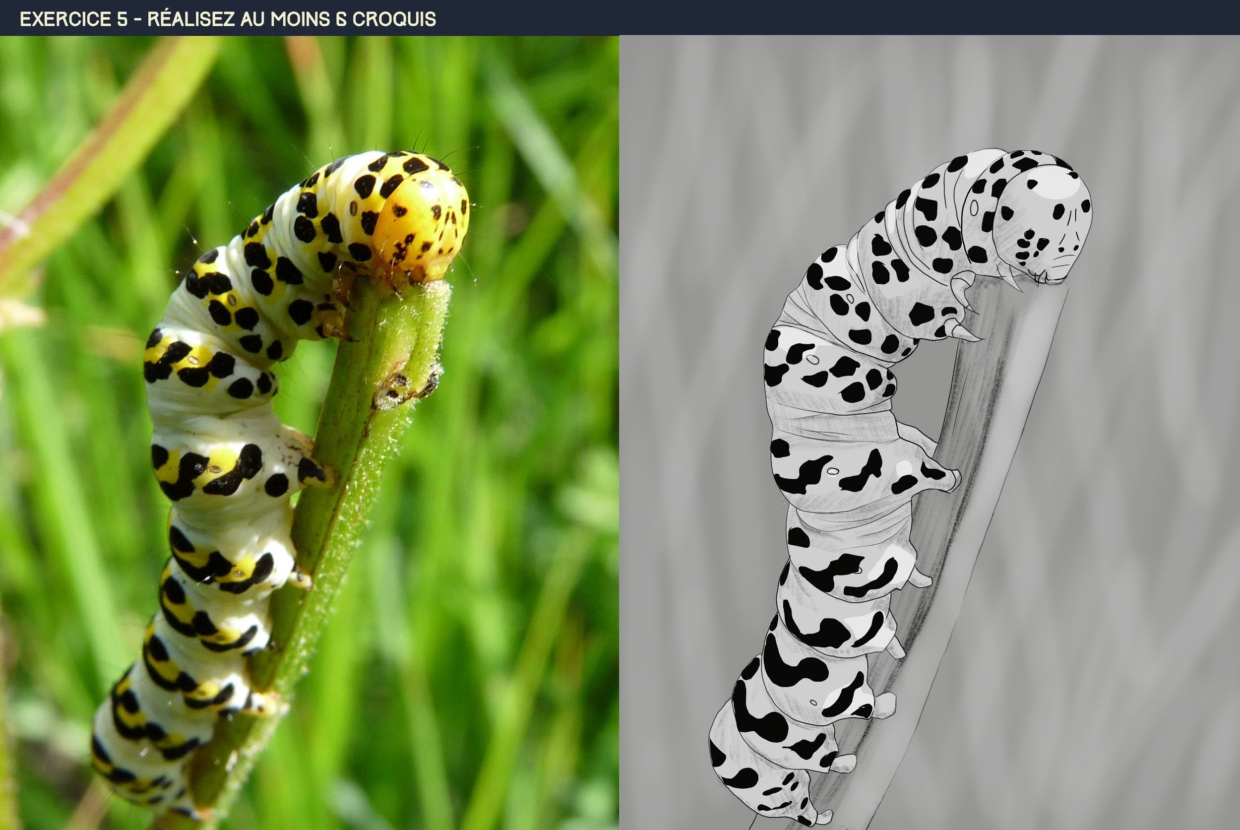 Exo 2-5 croquis 6.jpg