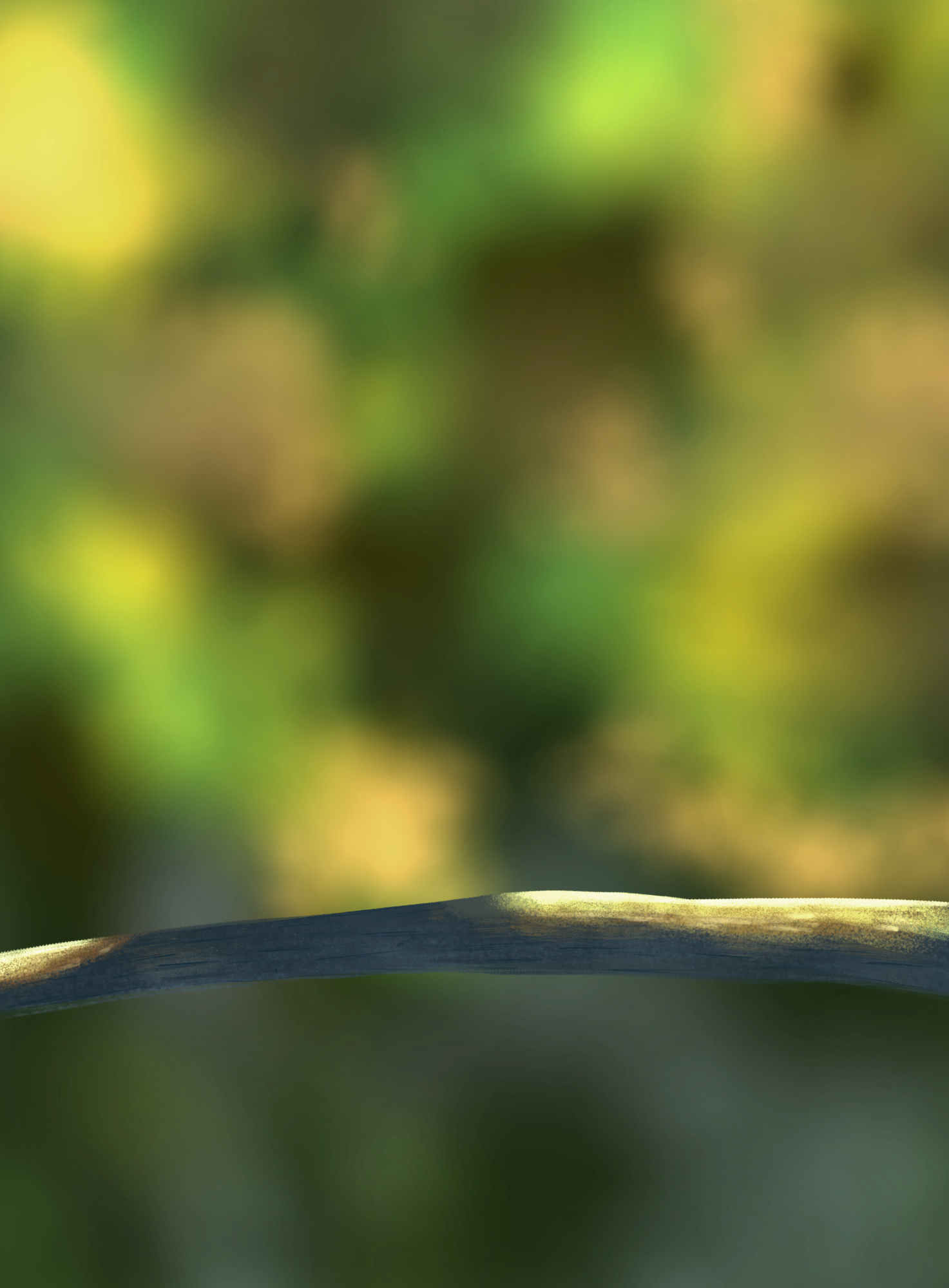 DPS Prog-1-1-Exercice5-Oiseau-Commencement-Récupéré.png