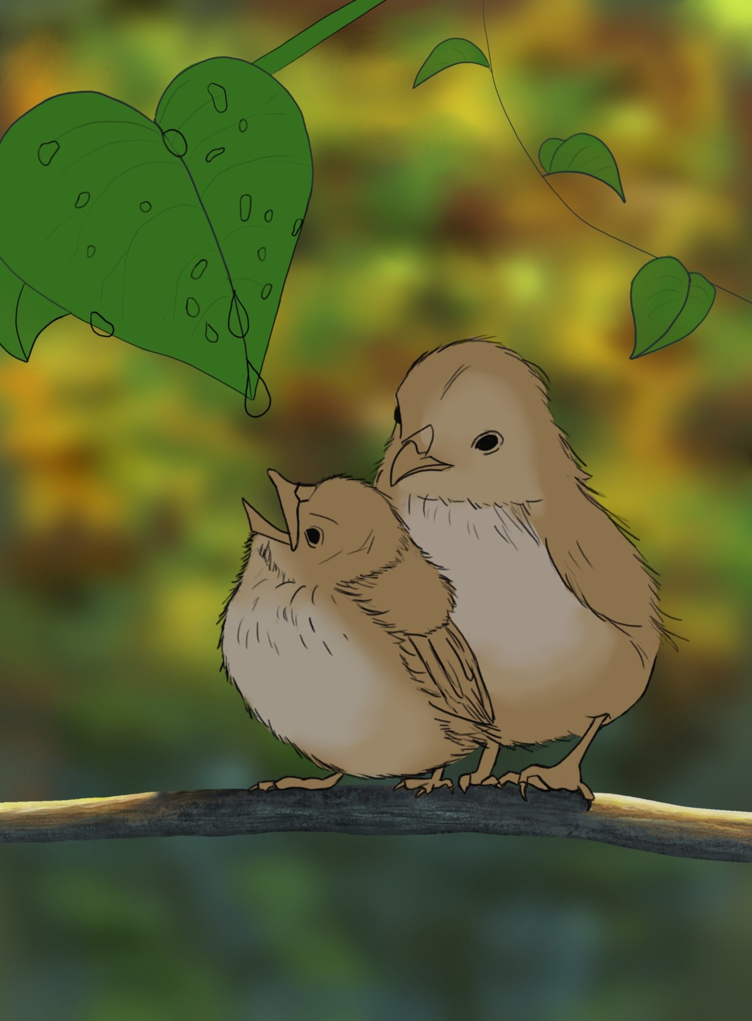 Exo 2-6 Oisillons.jpg