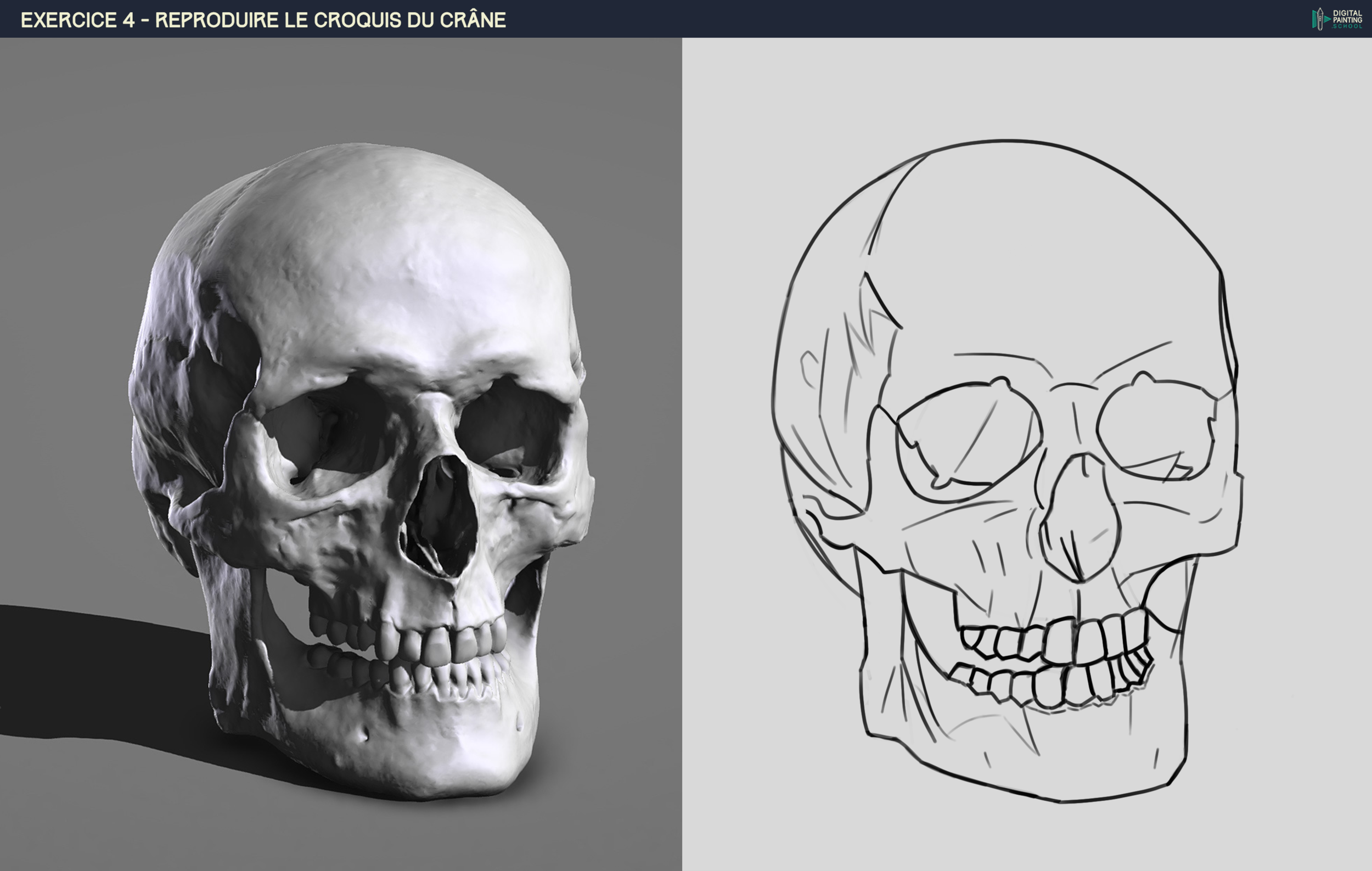 Exo 4 Croquis Crane.png