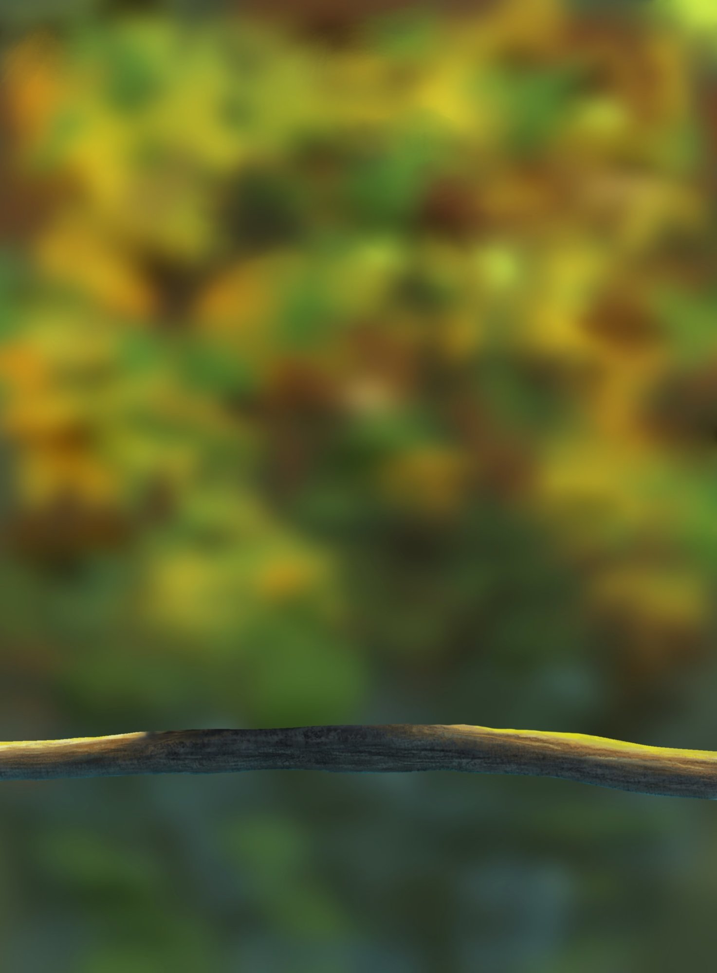 Exo1-5 Branche V3.jpg