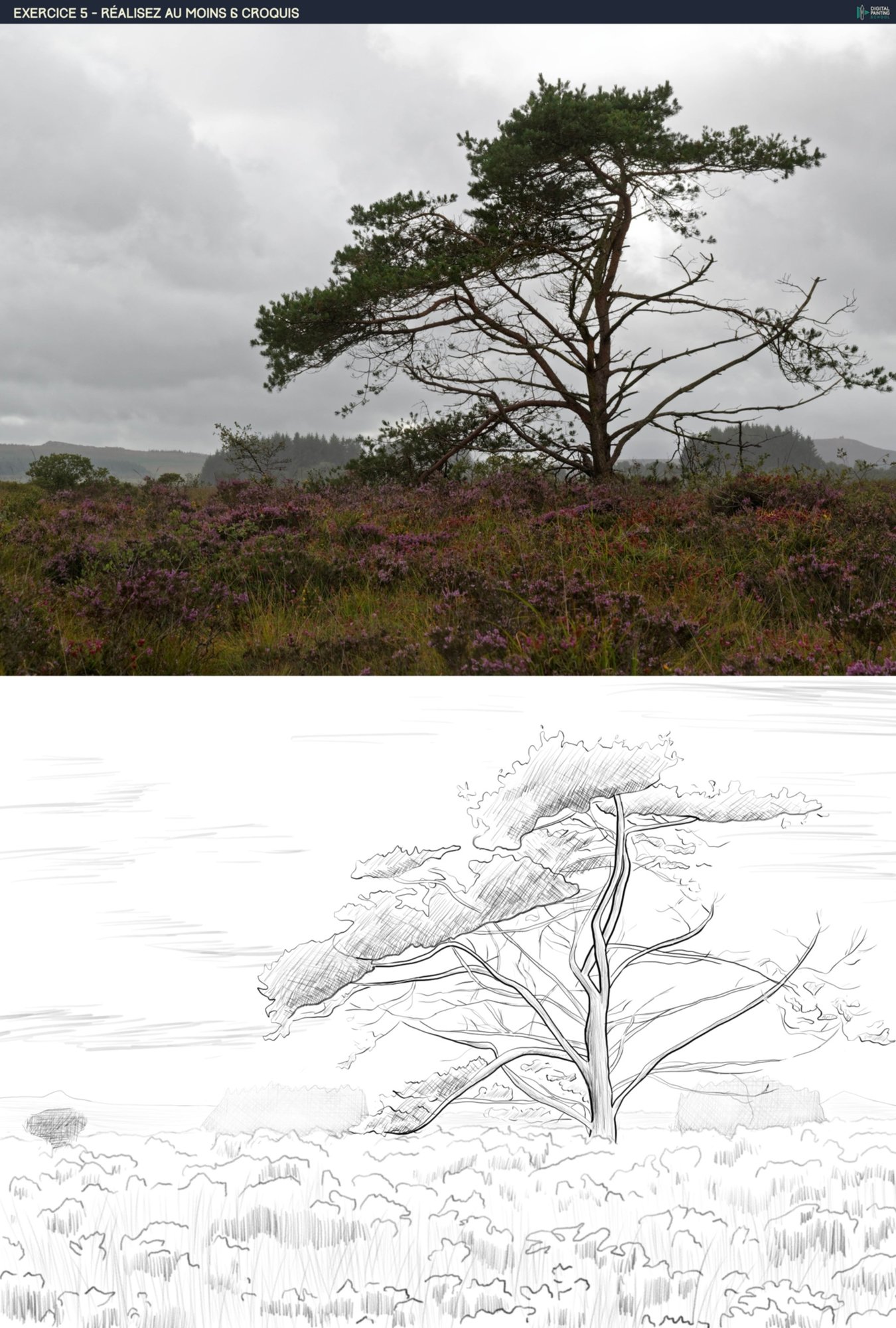 Exo 2-5 croquis 5.jpg