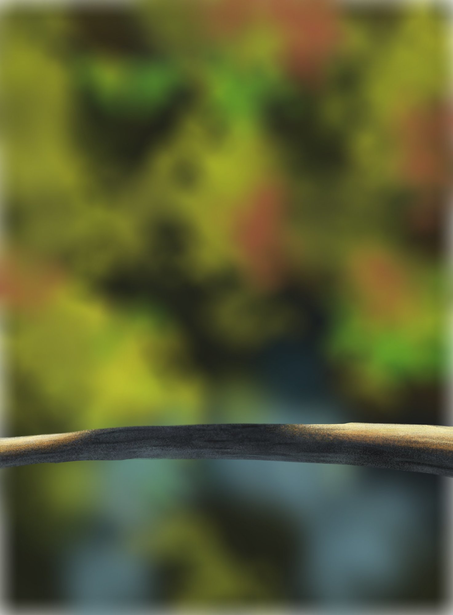 DPS Prog-1-1-Exercice5-Oiseau-Commencement-Récupéré.jpg