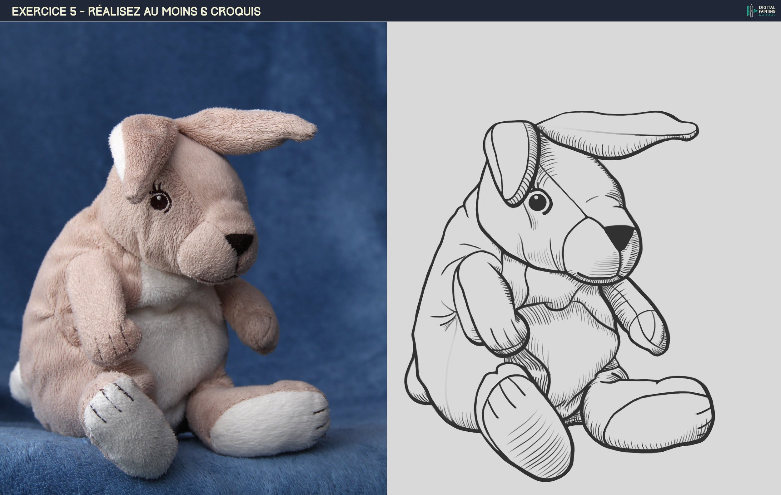 DPS-Prog-1-2-exercice5_Croquis_Lapin_01.jpg