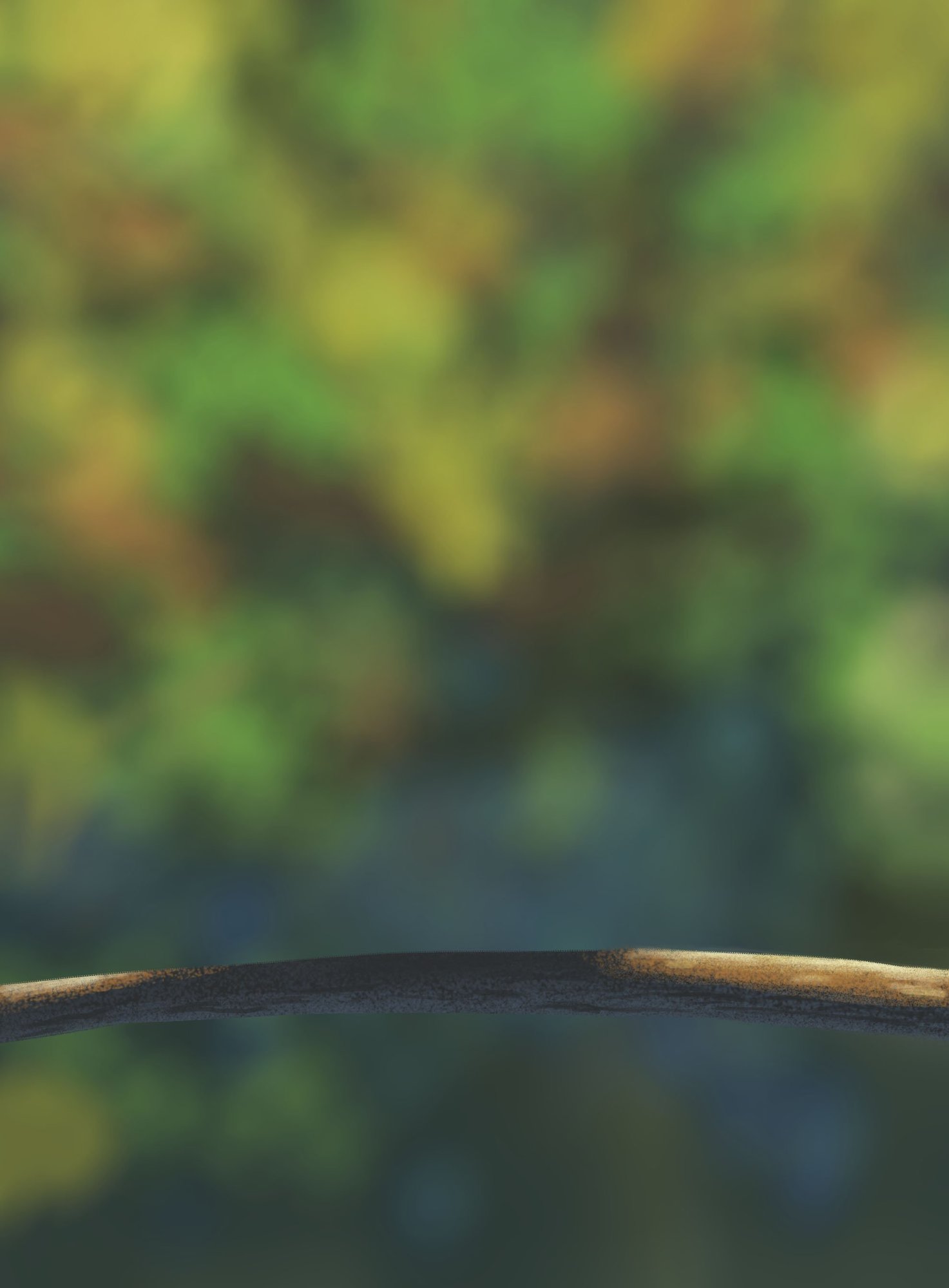 DPS Prog-1-1-Exercice5-Oiseau-Etape1-momo v2.jpg