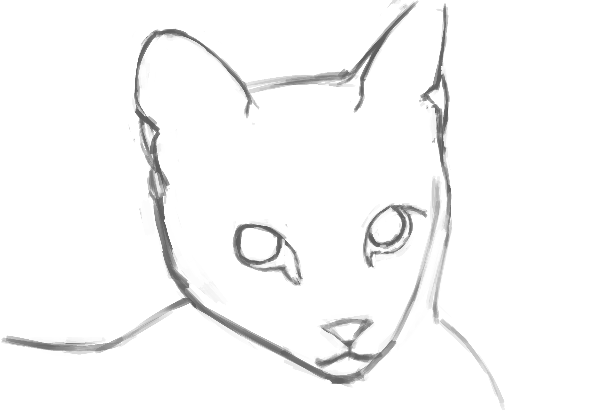 Chat Croquis.png