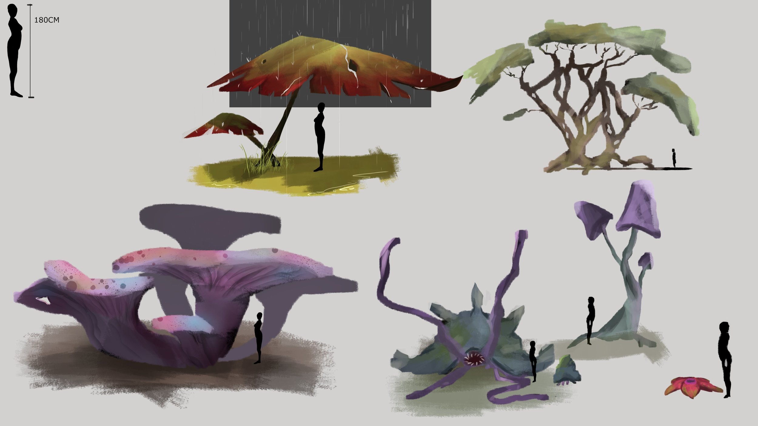 plantesdesign copie.jpg