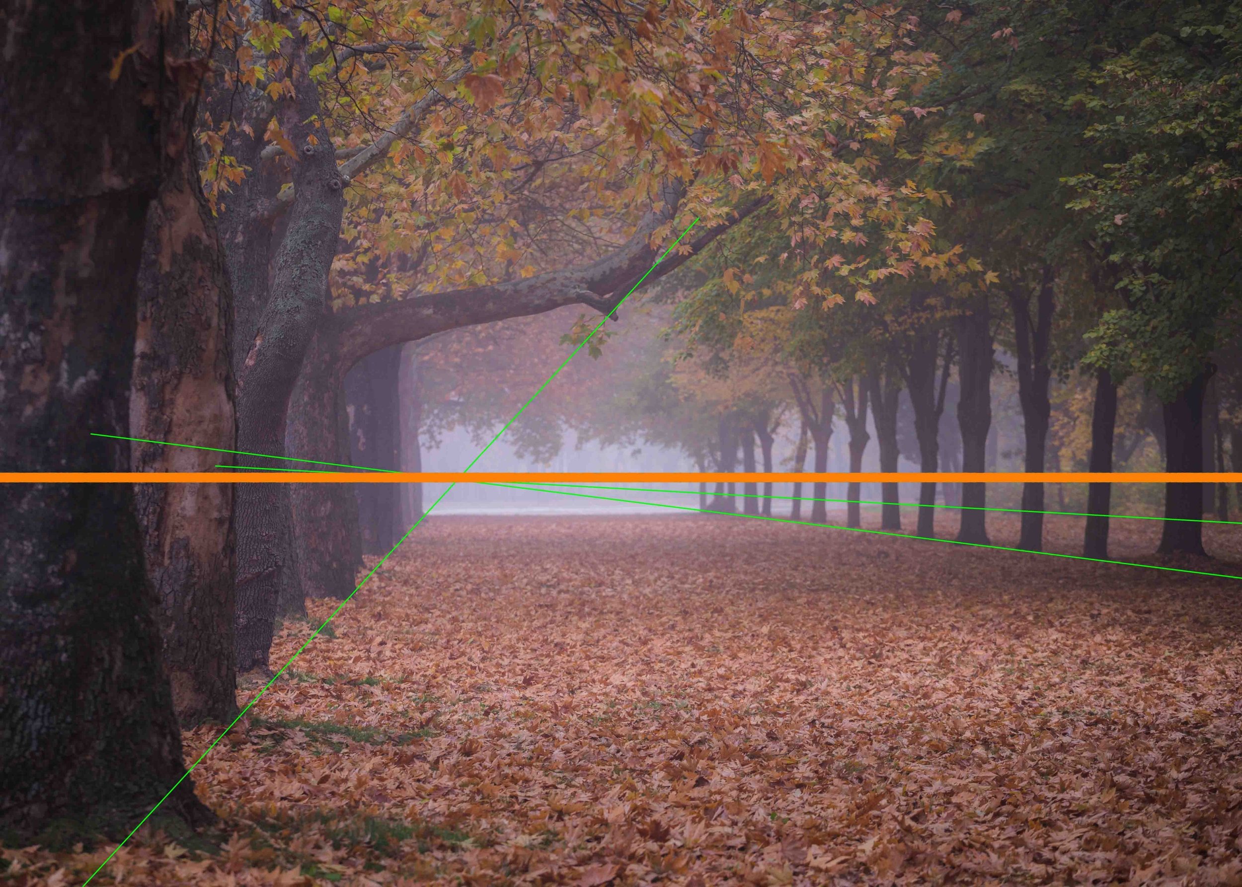 pexels-photo-225871 - Copie.jpg