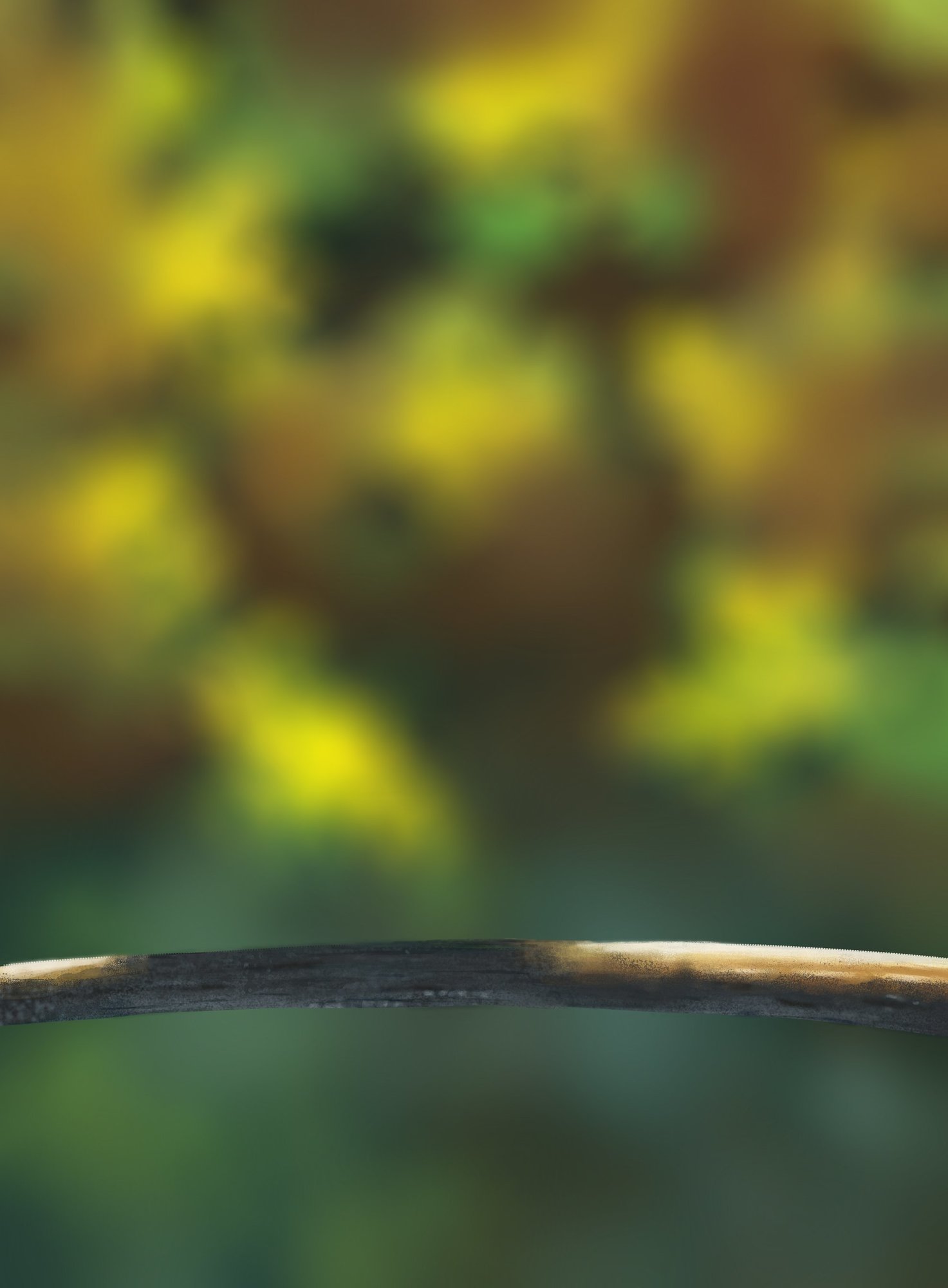 DPS Prog-1-1-Exercice5-Oiseau-Commencement_2.jpg