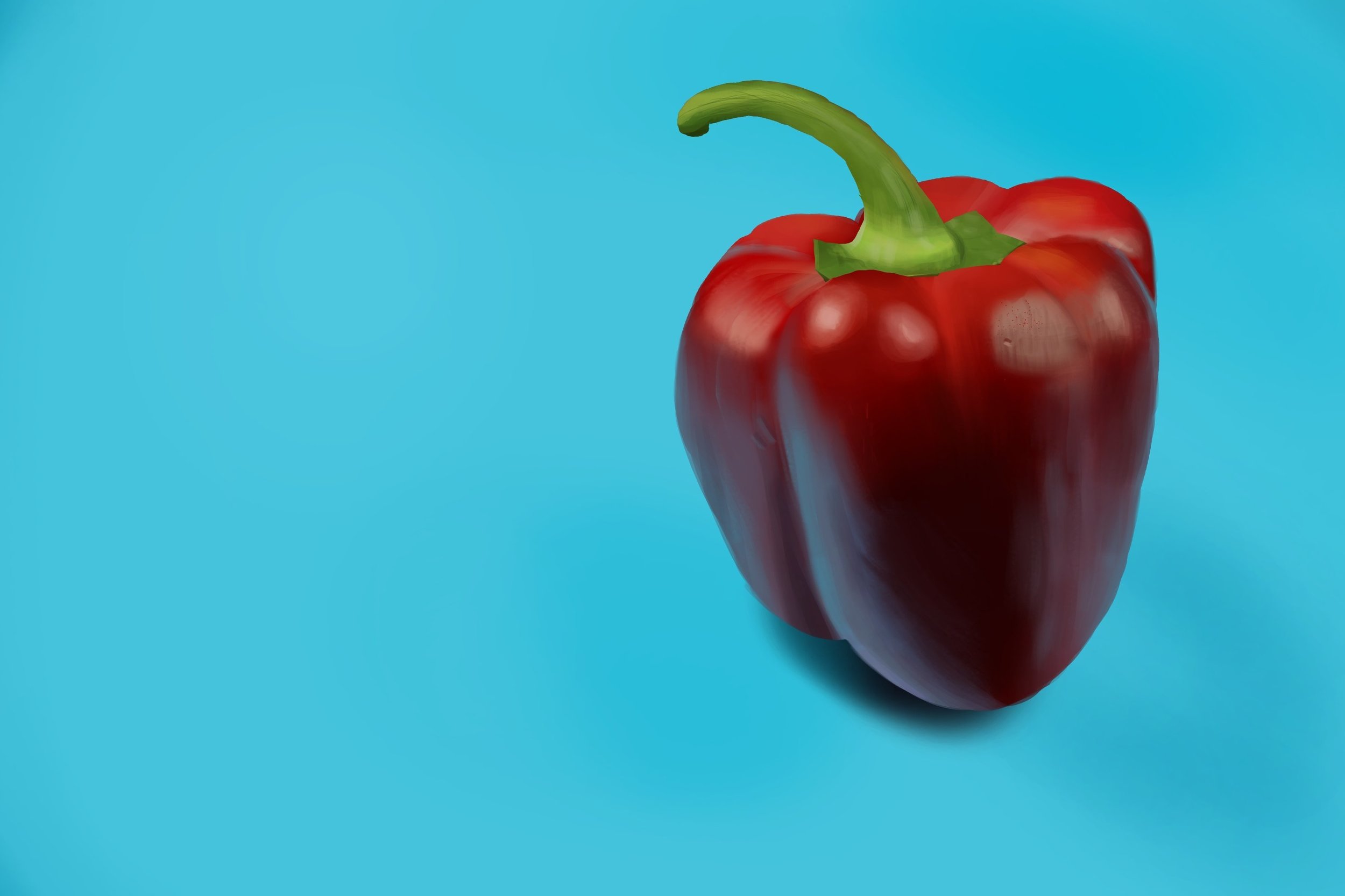 Exercice4-etude-photo1 manque le flou.jpg