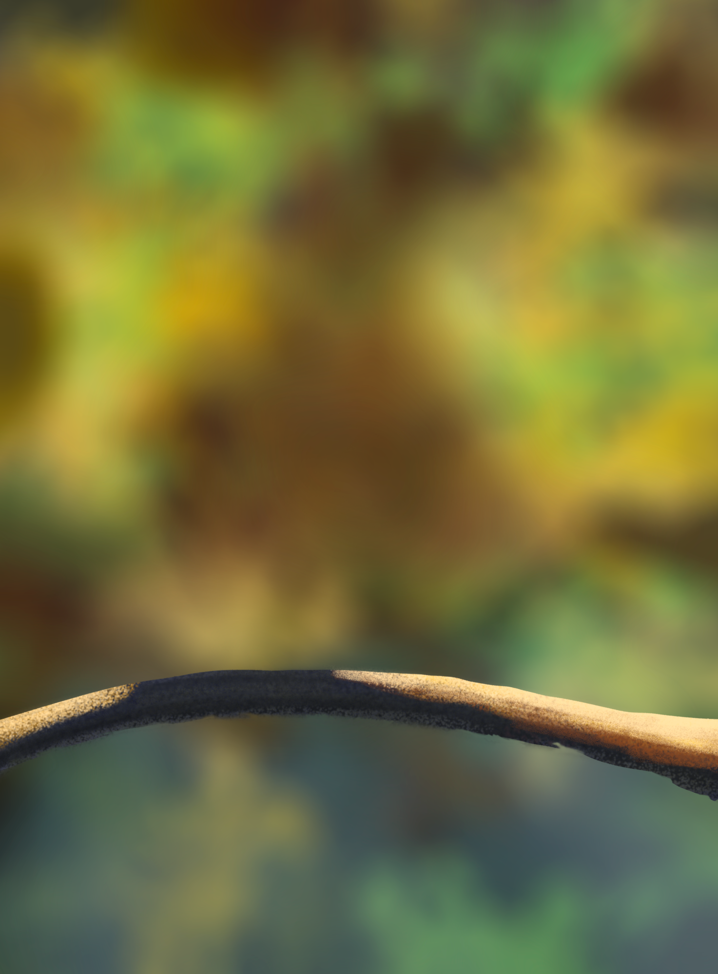 DPS Prog-1-1-Exercice5-Oiseau -Katrielle.png