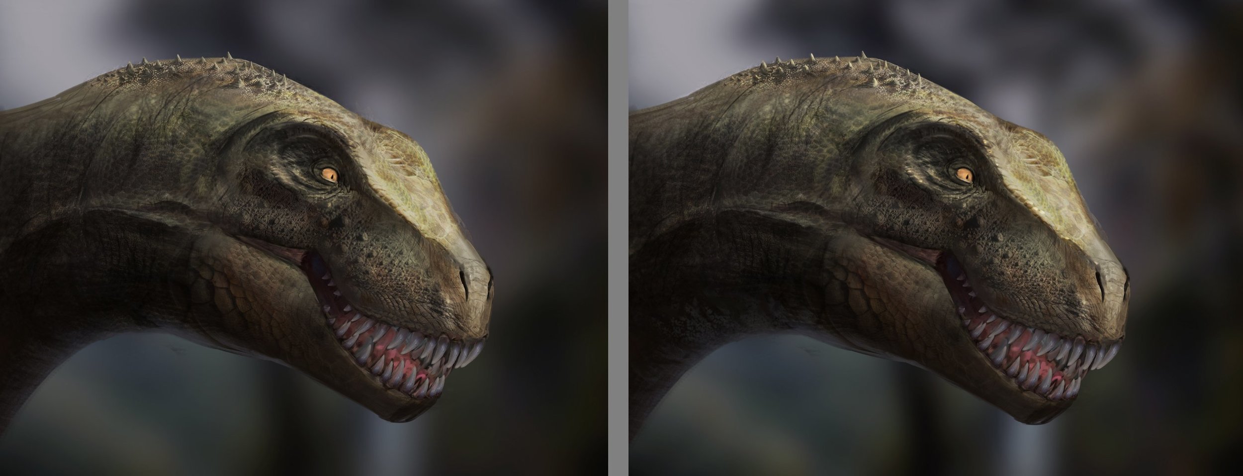 La déformation pour épouser les formes correction.jpg