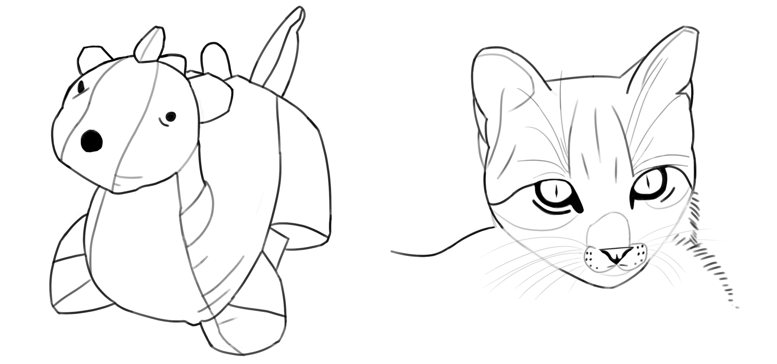 Peluche et Chaton.png