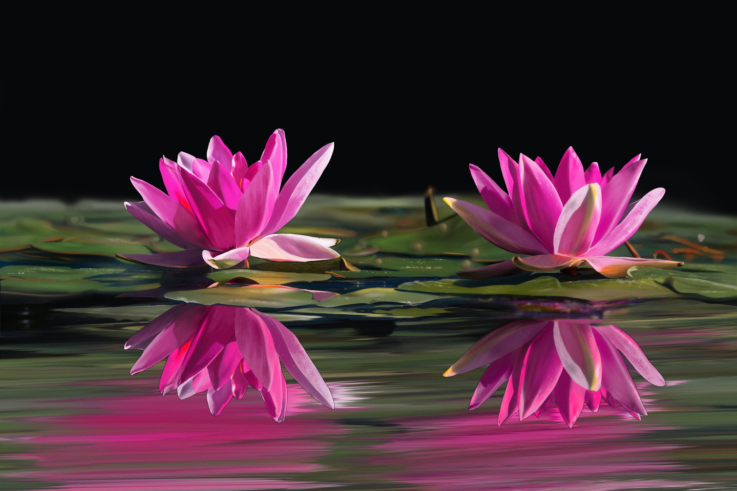 photo_exercice_lasso3-optionnel_stricart fin.jpg