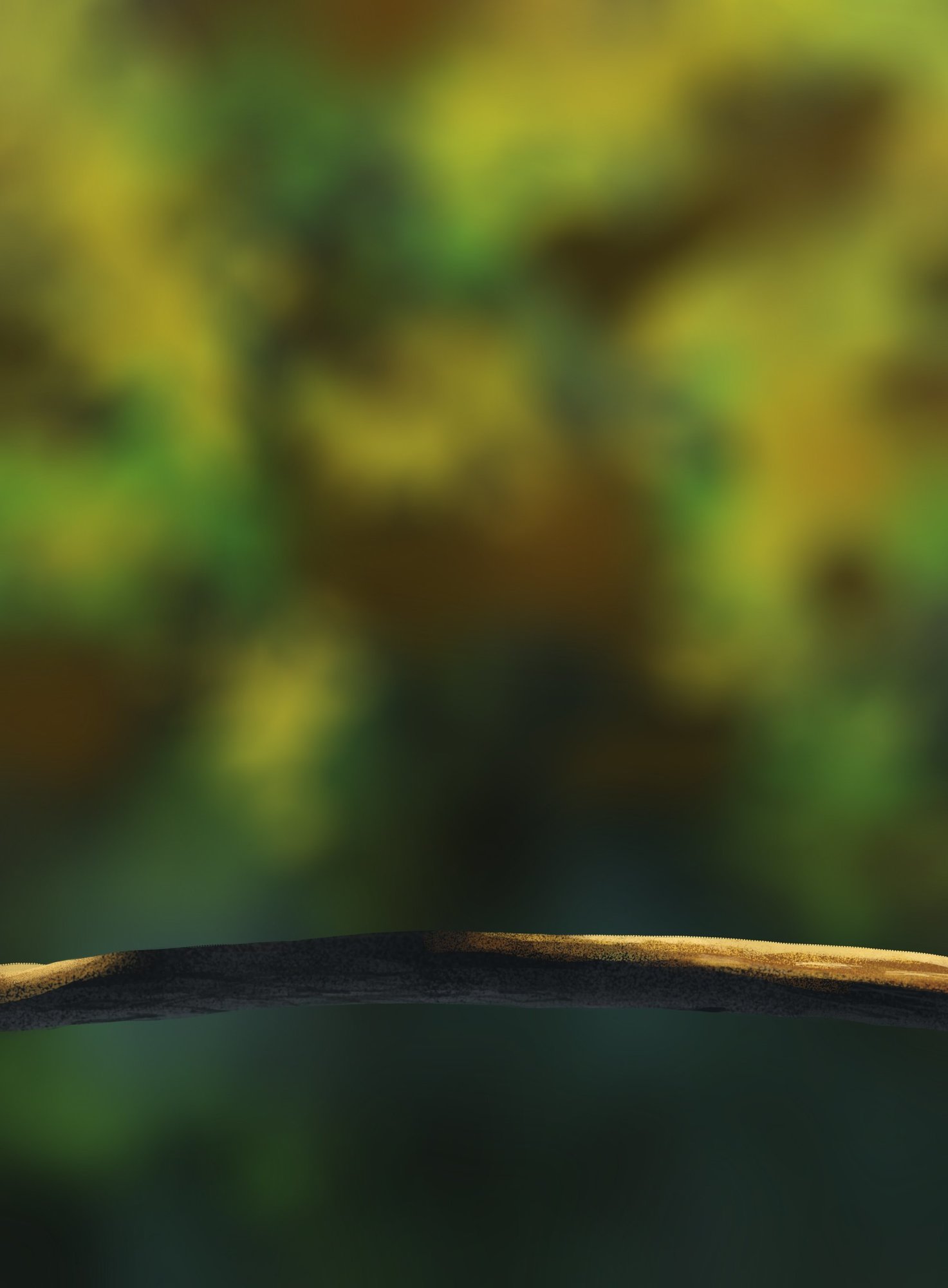 Nat_DPS Prog-1-1-Exercice5-Oiseau-Commencement.jpg