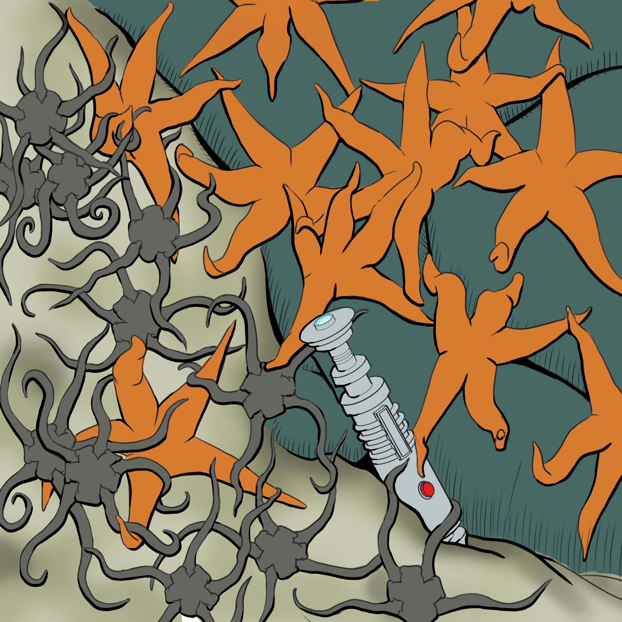 DN - Star (Fish) Wars - color 3.jpg