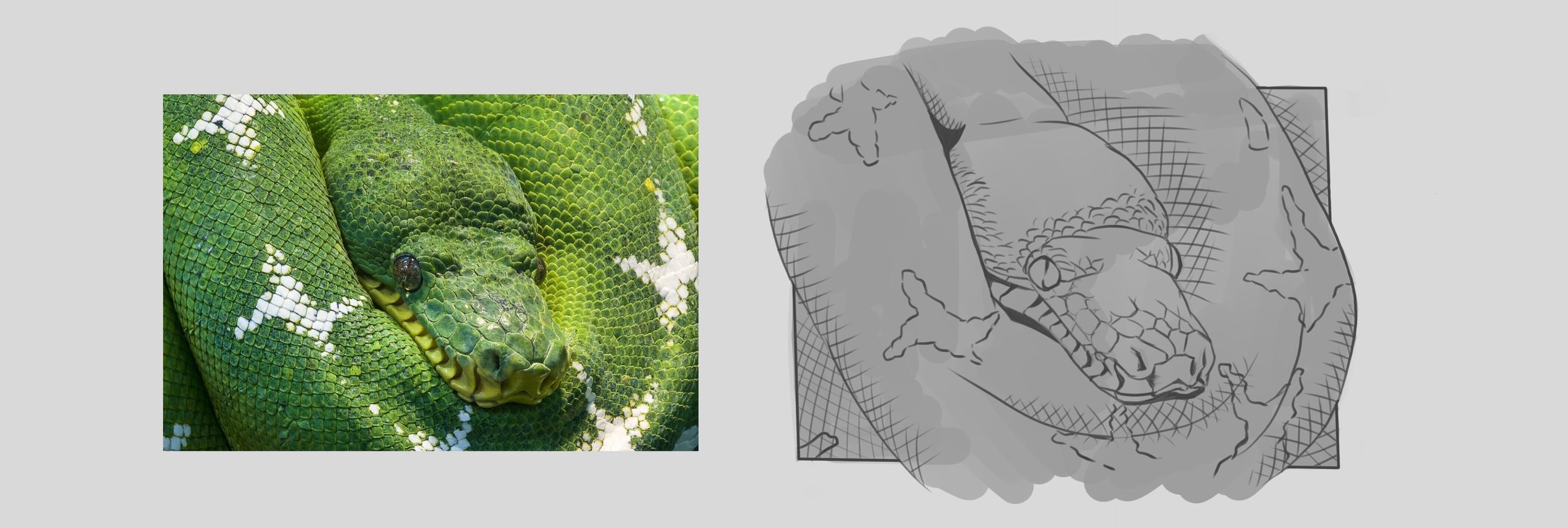 Dono - DPS-Prog-1-2-exercice5 - 2.jpg