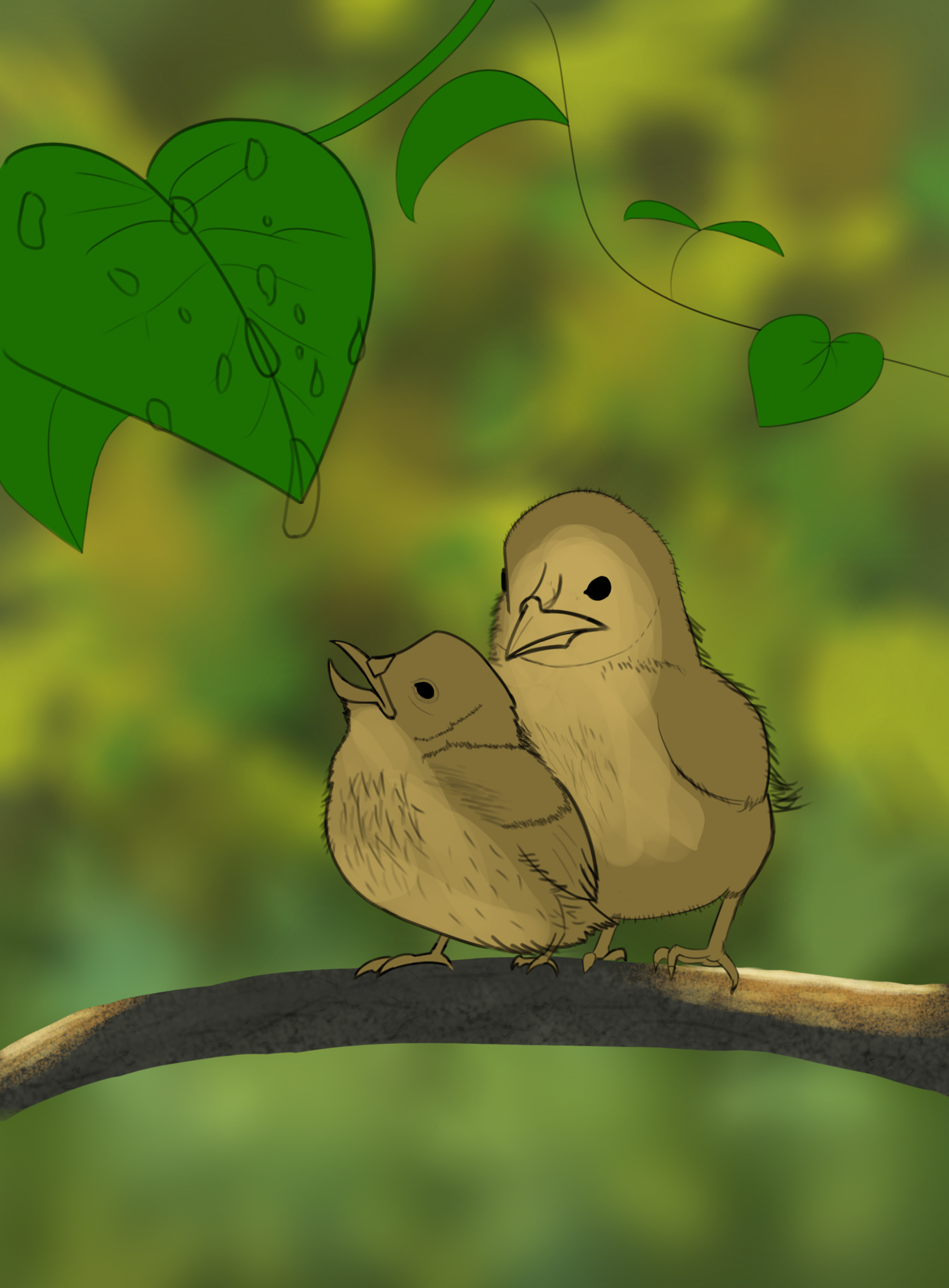 Oisillons croquis 3.png