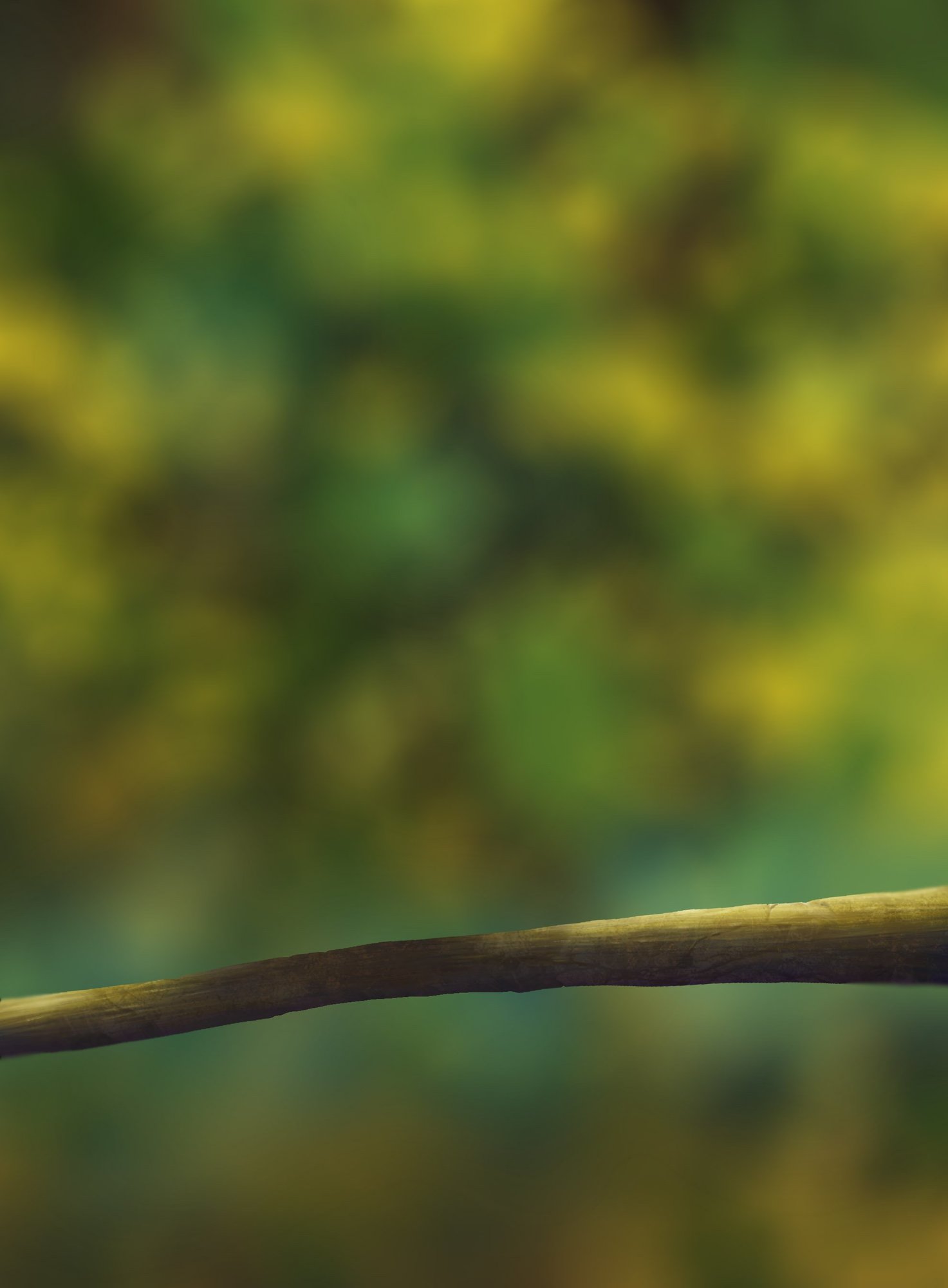 EXERCICE OISEAU BASE.jpg