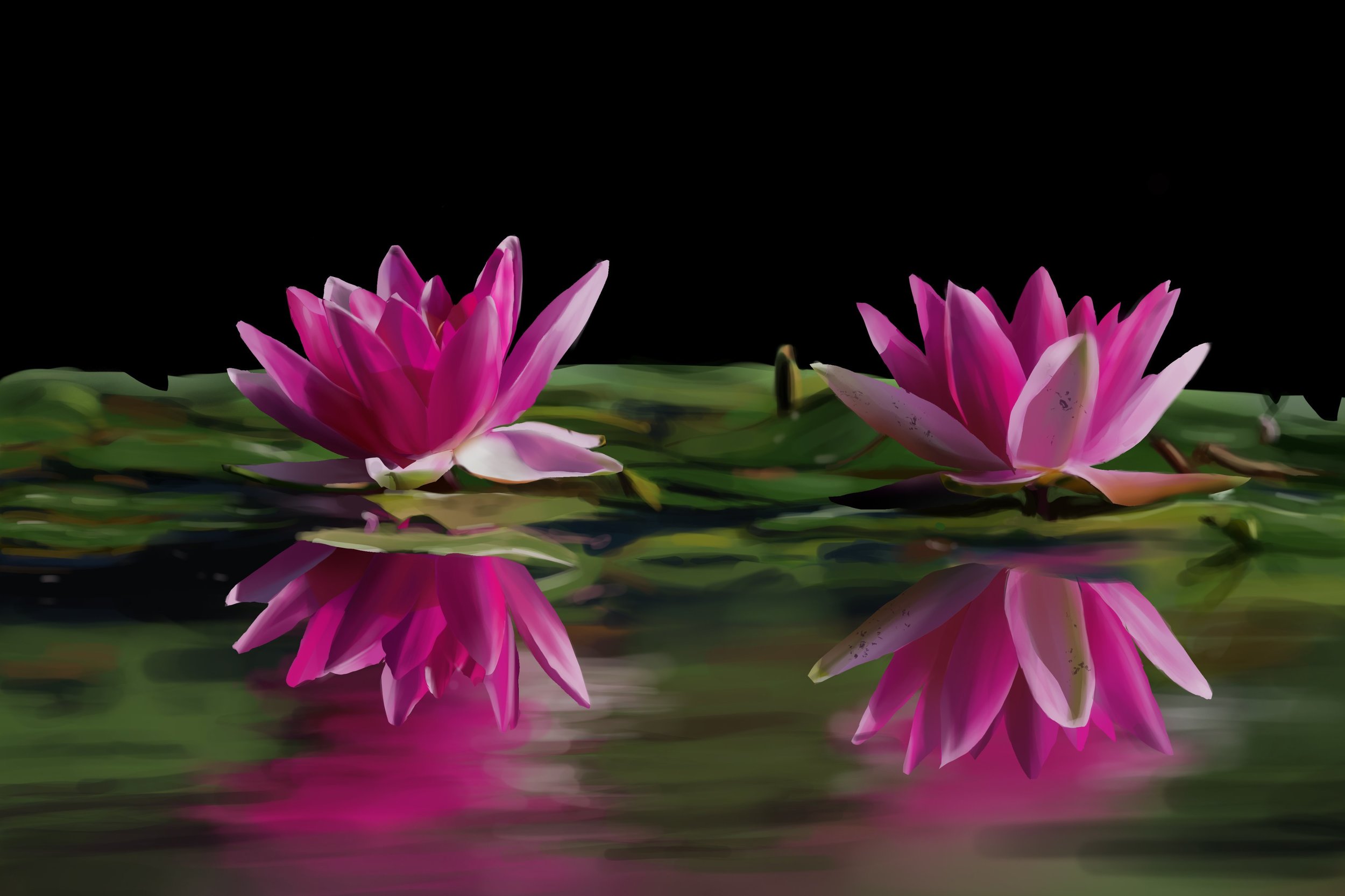 photo_exercice_lasso3-optionnel copy.jpg