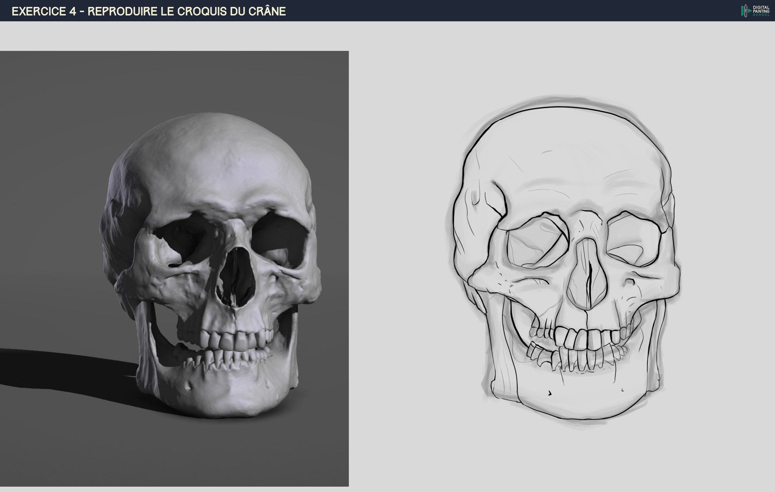 DPS-Prog-1-2-2-démo-crane-croquis Line - Wazercube.jpg